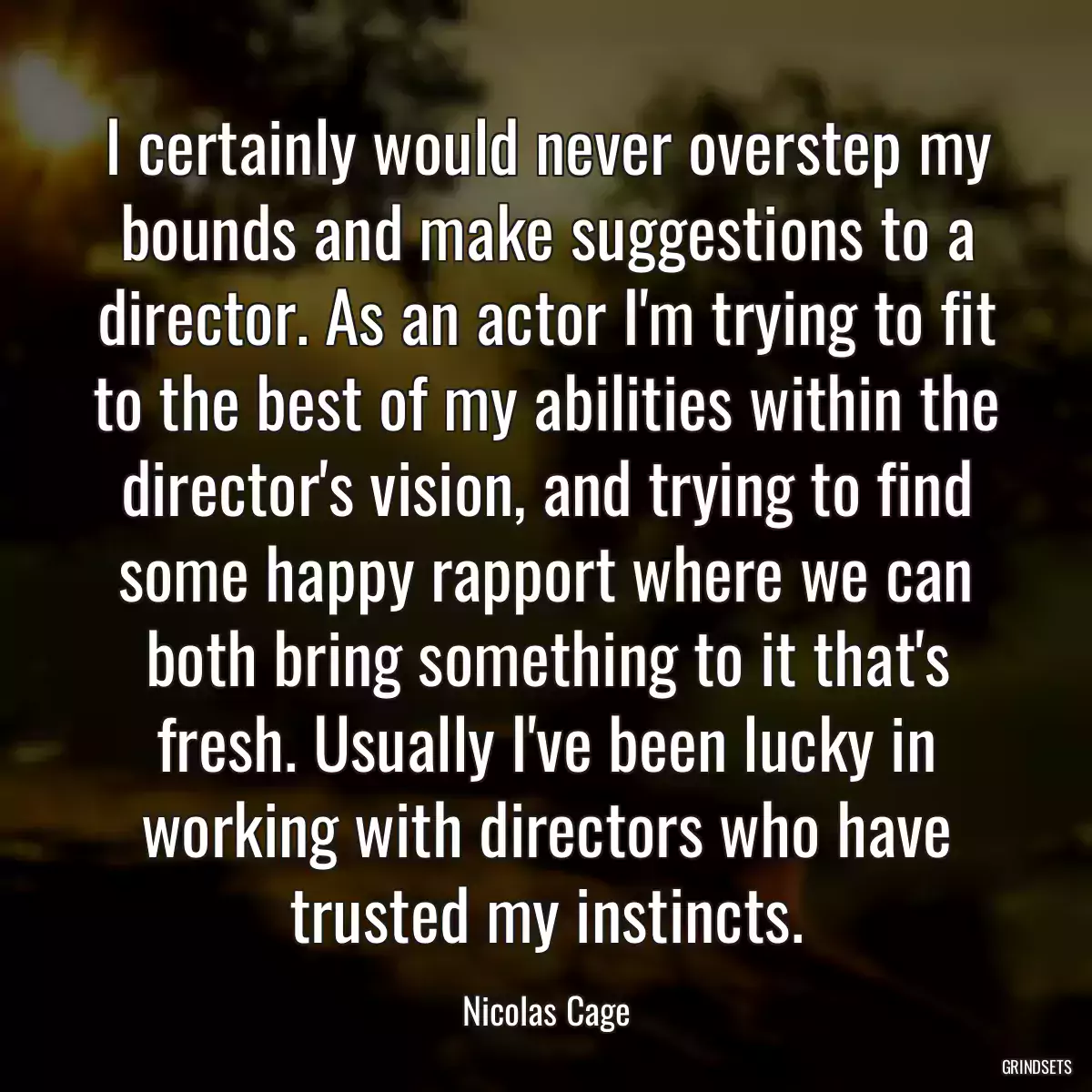 I certainly would never overstep my bounds and make suggestions to a director. As an actor I\'m trying to fit to the best of my abilities within the director\'s vision, and trying to find some happy rapport where we can both bring something to it that\'s fresh. Usually I\'ve been lucky in working with directors who have trusted my instincts.