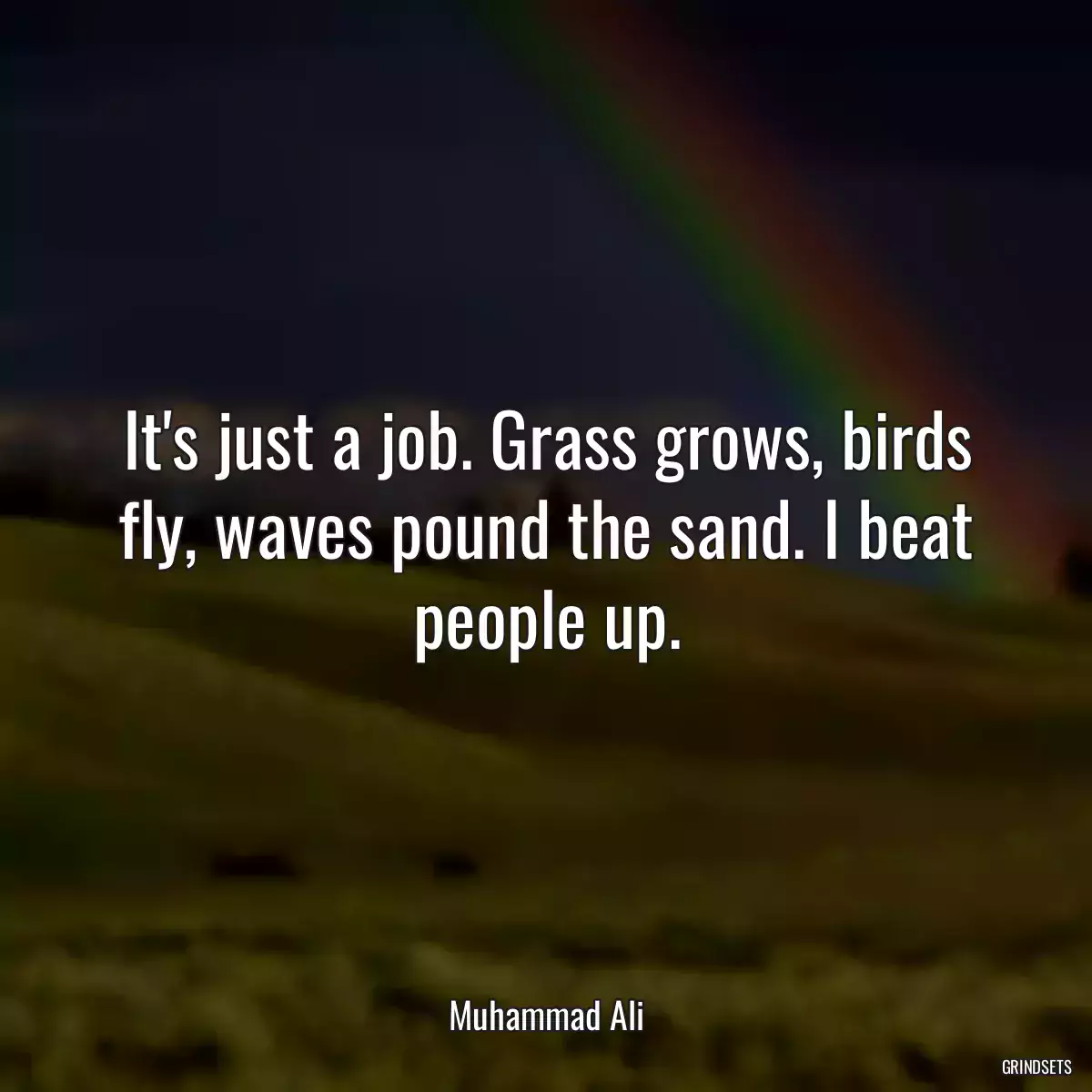It\'s just a job. Grass grows, birds fly, waves pound the sand. I beat people up.
