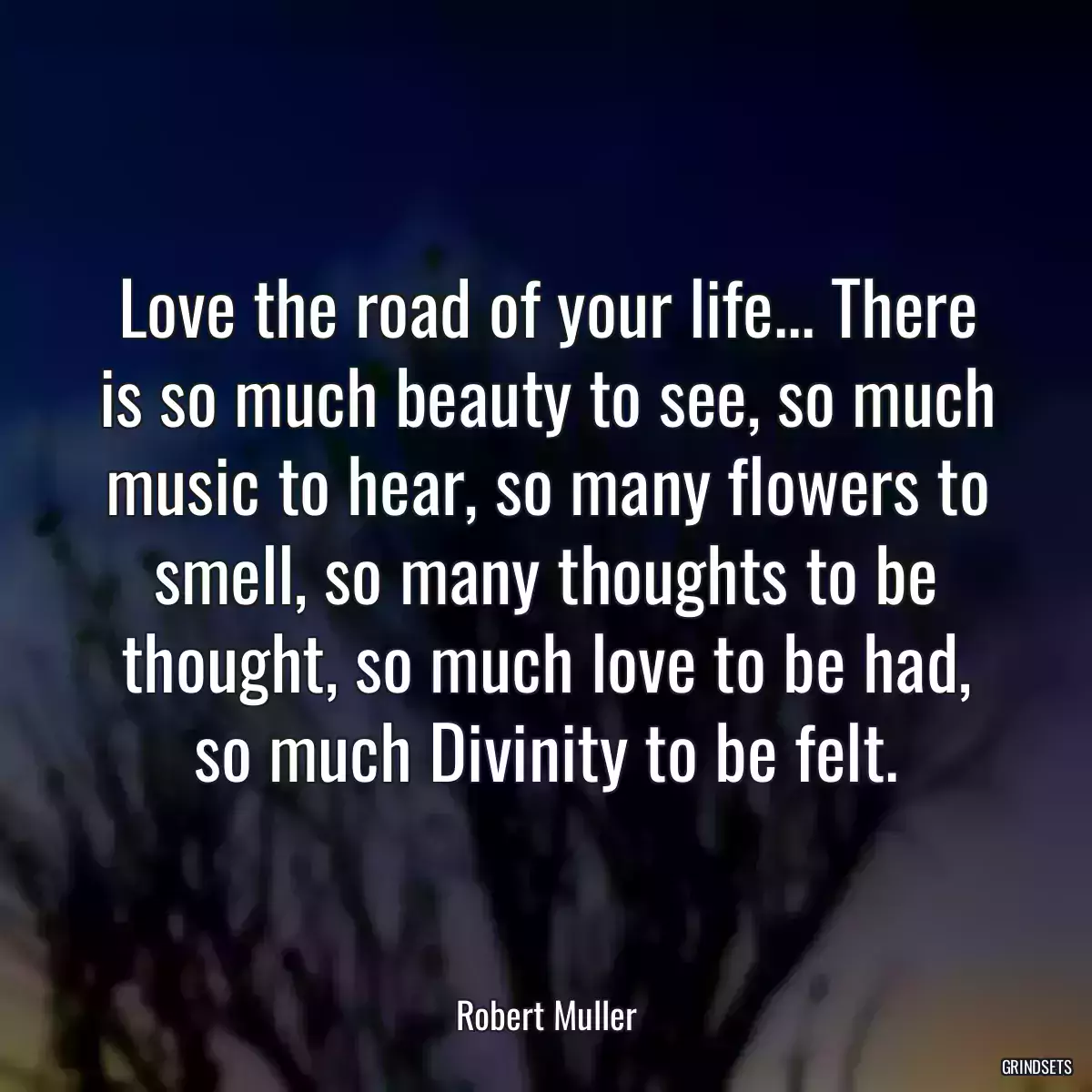 Love the road of your life... There is so much beauty to see, so much music to hear, so many flowers to smell, so many thoughts to be thought, so much love to be had, so much Divinity to be felt.