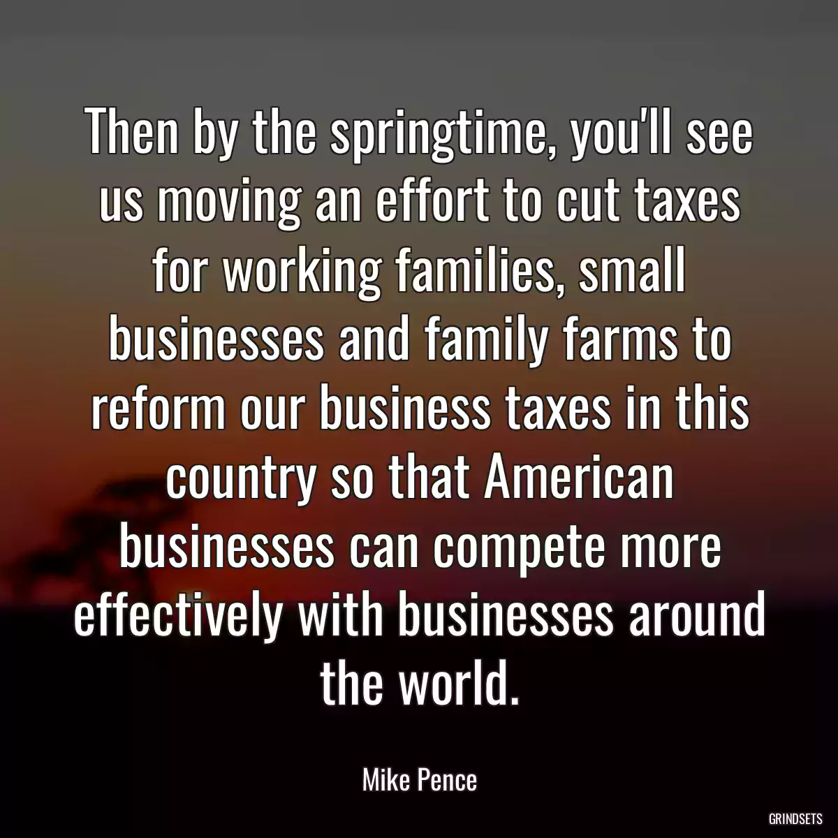 Then by the springtime, you\'ll see us moving an effort to cut taxes for working families, small businesses and family farms to reform our business taxes in this country so that American businesses can compete more effectively with businesses around the world.