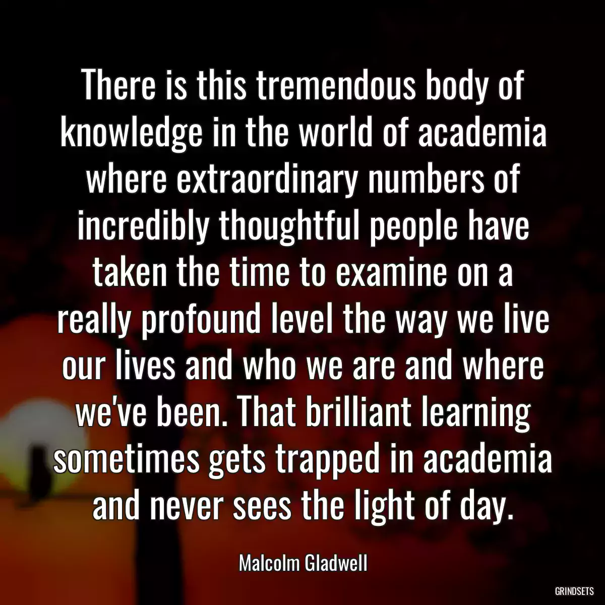 There is this tremendous body of knowledge in the world of academia where extraordinary numbers of incredibly thoughtful people have taken the time to examine on a really profound level the way we live our lives and who we are and where we\'ve been. That brilliant learning sometimes gets trapped in academia and never sees the light of day.