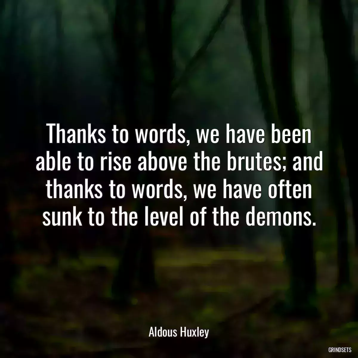 Thanks to words, we have been able to rise above the brutes; and thanks to words, we have often sunk to the level of the demons.