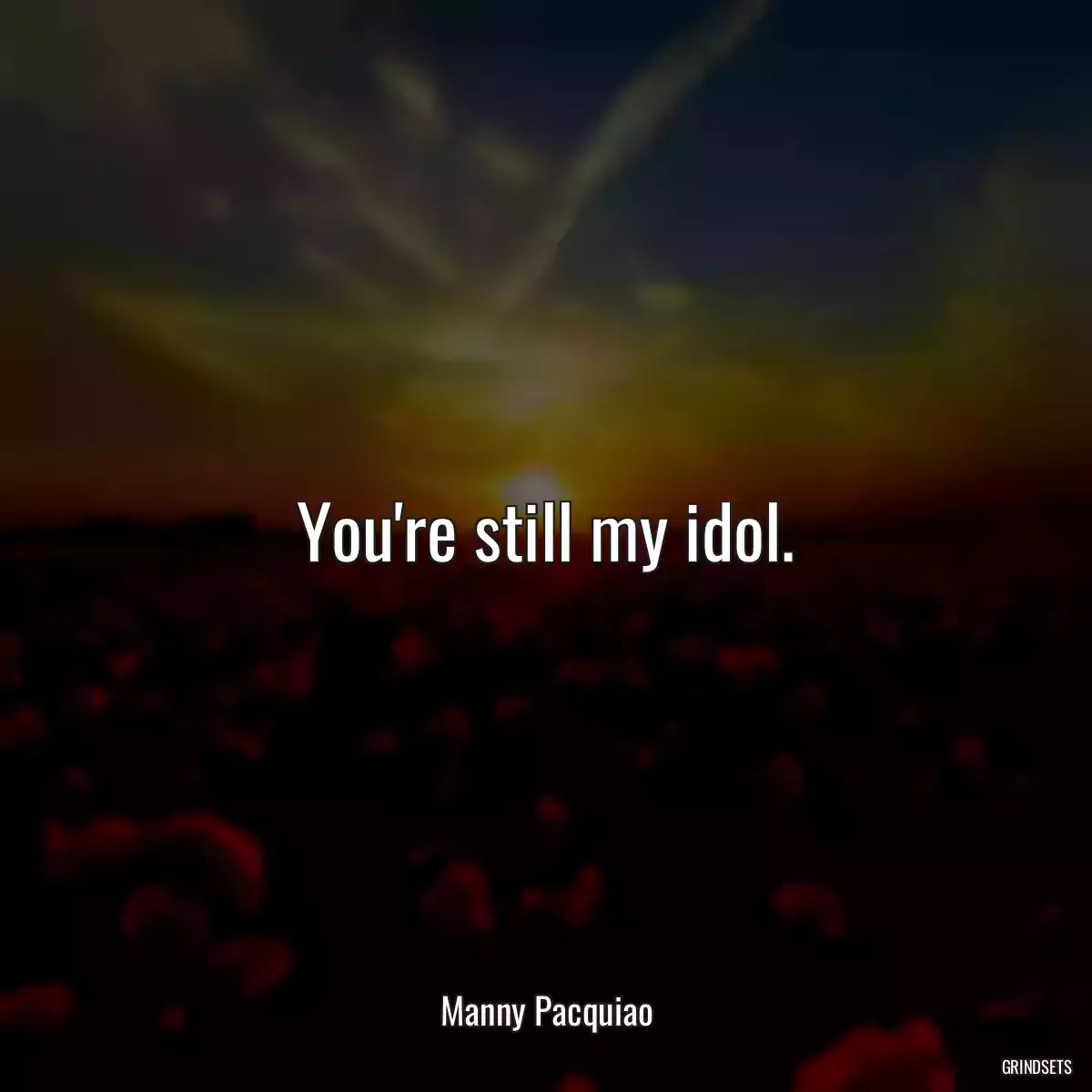 You\'re still my idol.