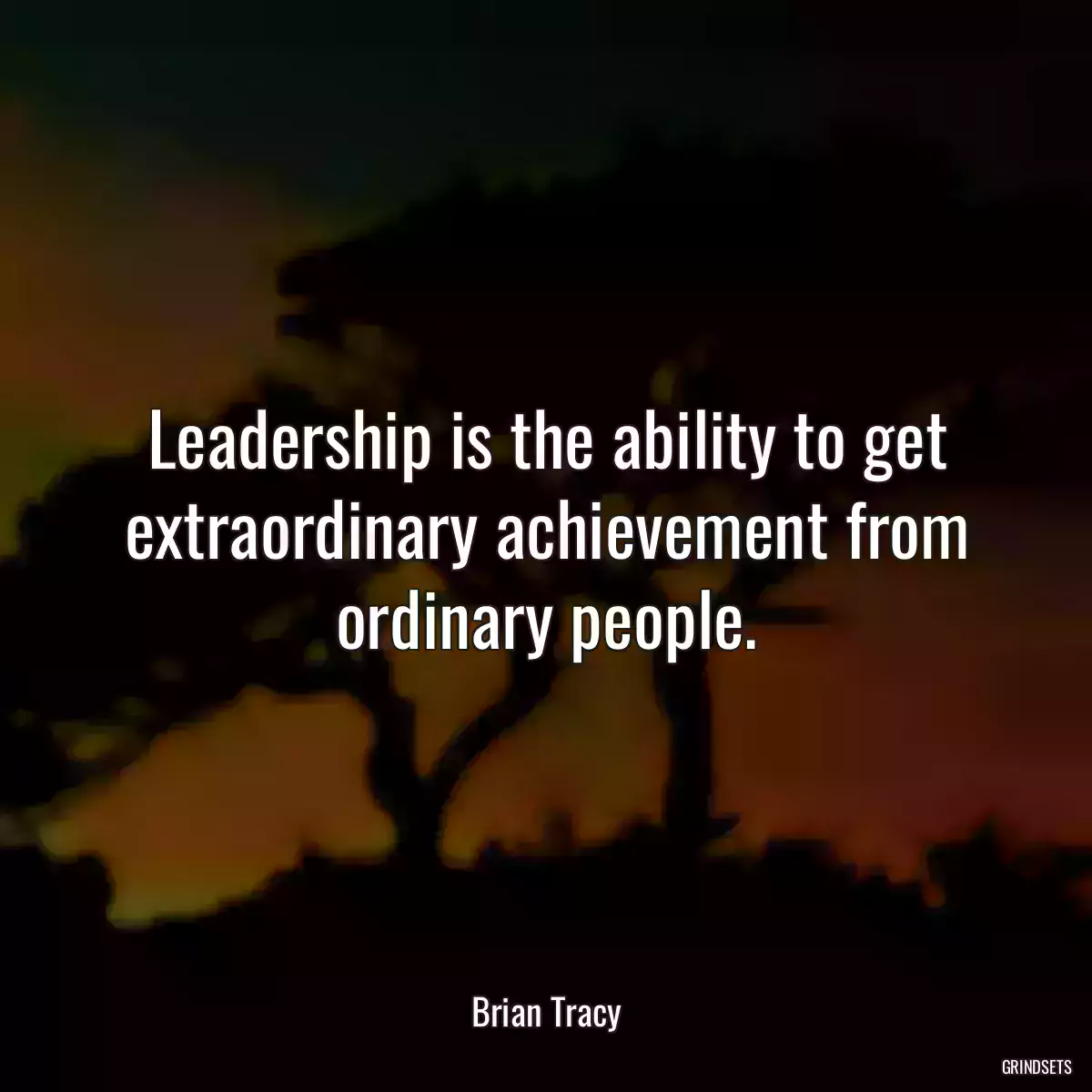 Leadership is the ability to get extraordinary achievement from ordinary people.