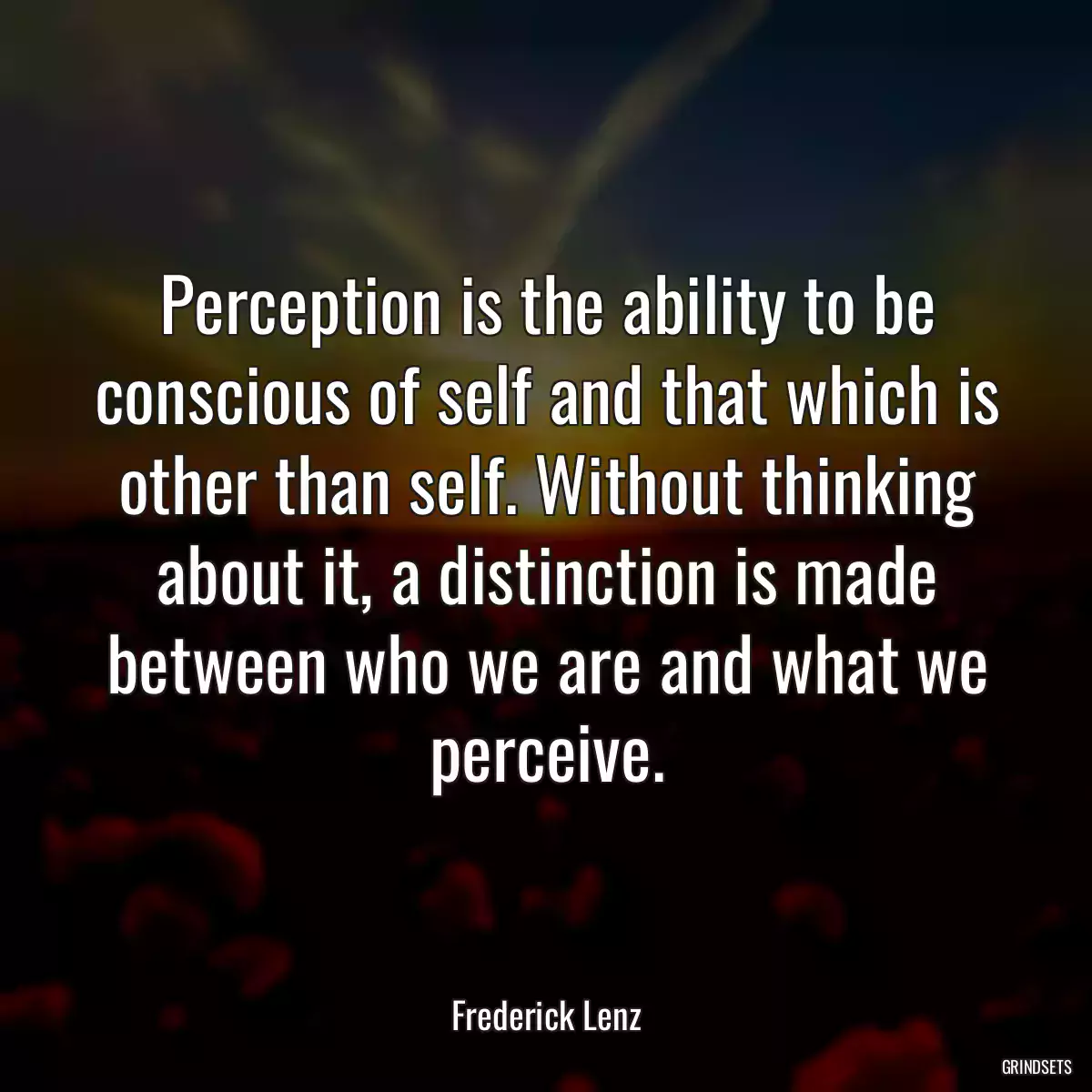 Perception is the ability to be conscious of self and that which is other than self. Without thinking about it, a distinction is made between who we are and what we perceive.