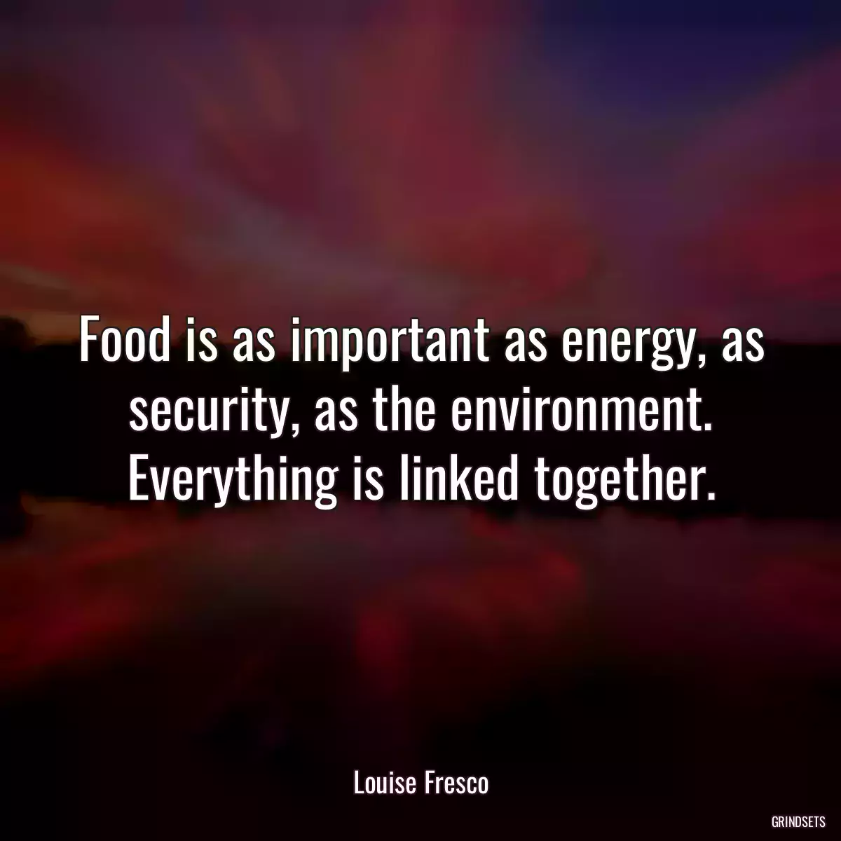 Food is as important as energy, as security, as the environment. Everything is linked together.