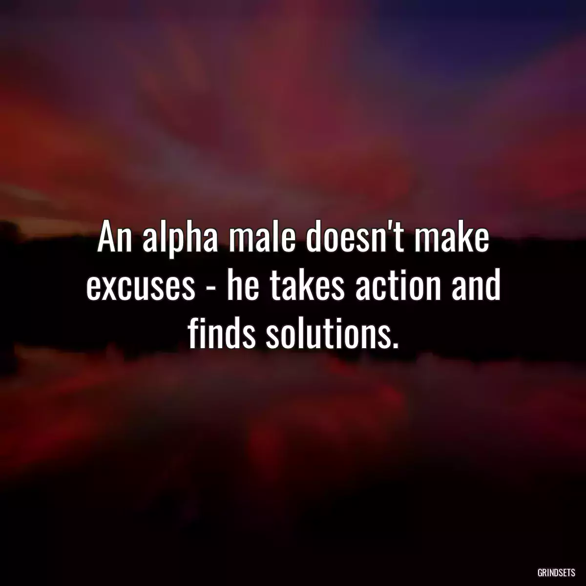 An alpha male doesn\'t make excuses - he takes action and finds solutions.