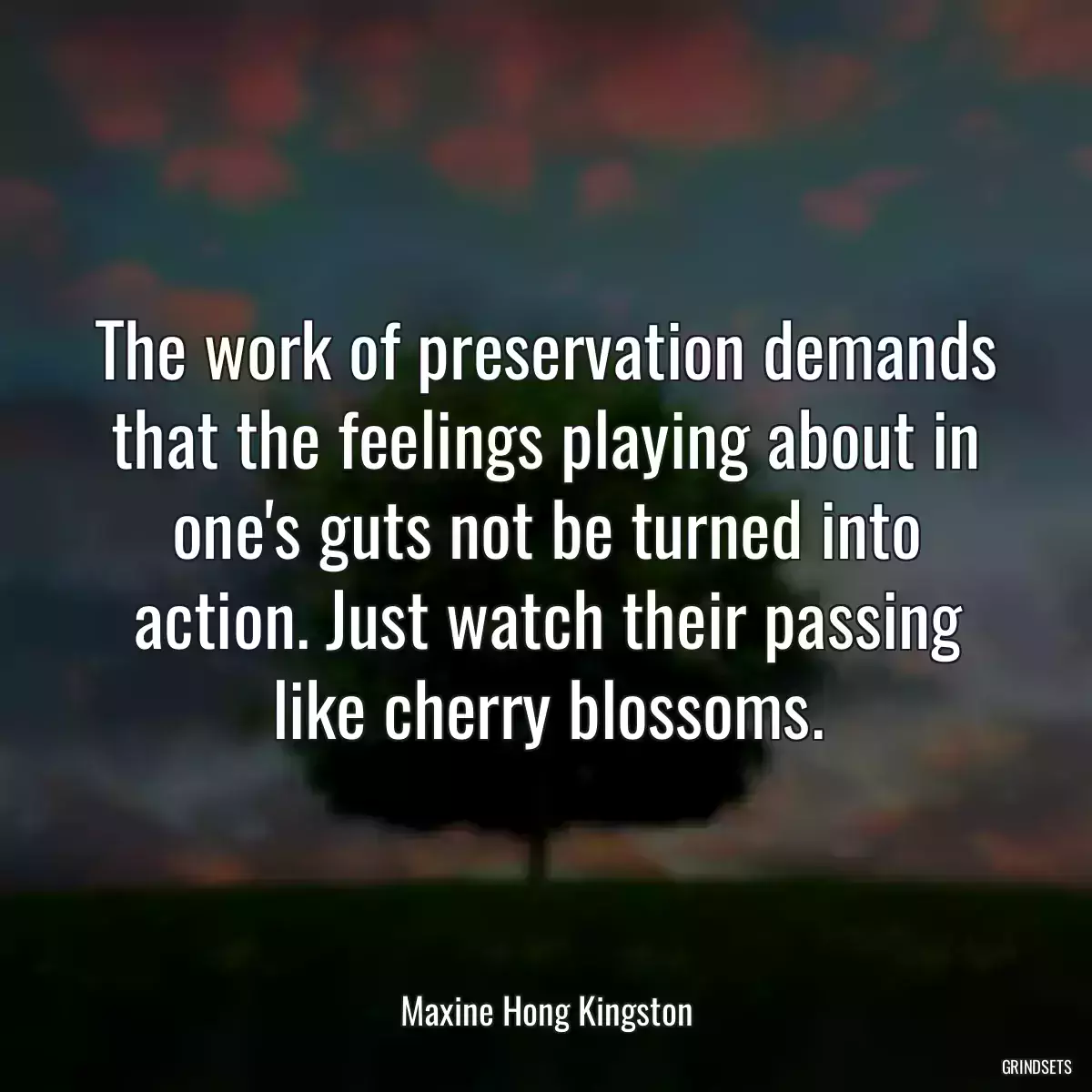 The work of preservation demands that the feelings playing about in one\'s guts not be turned into action. Just watch their passing like cherry blossoms.