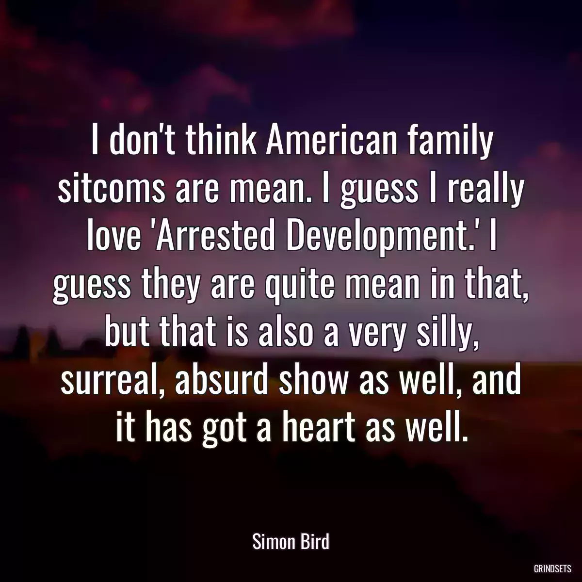 I don\'t think American family sitcoms are mean. I guess I really love \'Arrested Development.\' I guess they are quite mean in that, but that is also a very silly, surreal, absurd show as well, and it has got a heart as well.