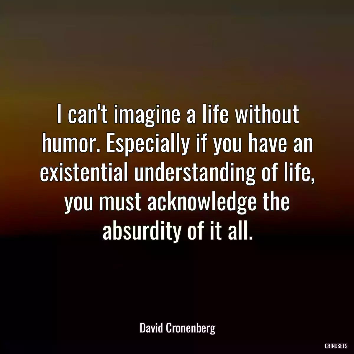 I can\'t imagine a life without humor. Especially if you have an existential understanding of life, you must acknowledge the absurdity of it all.