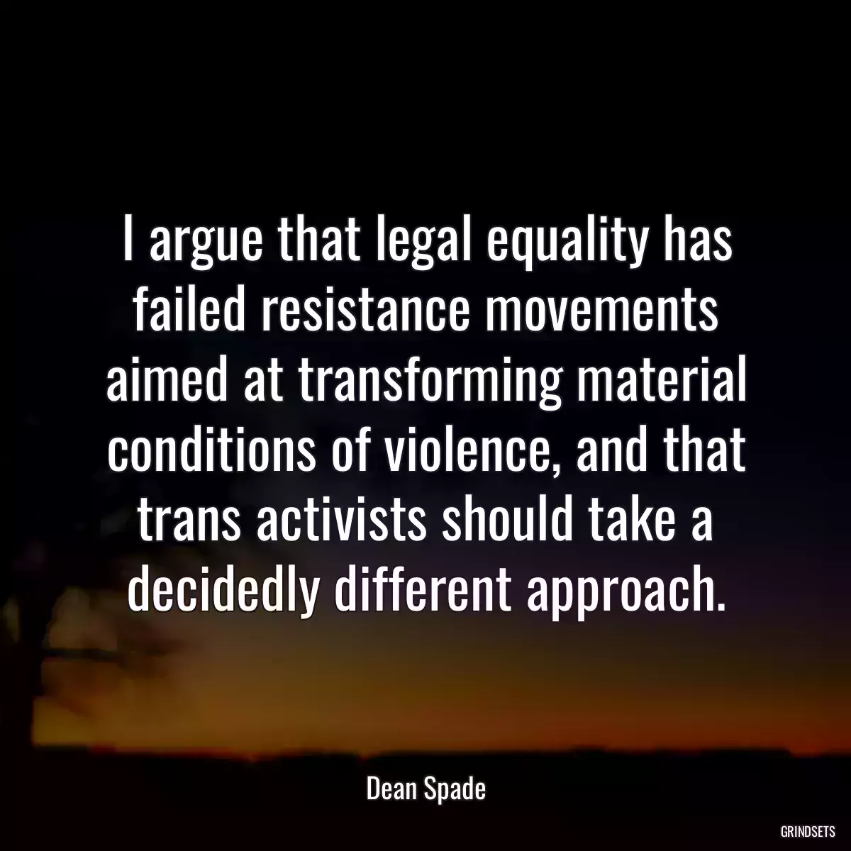 I argue that legal equality has failed resistance movements aimed at transforming material conditions of violence, and that trans activists should take a decidedly different approach.