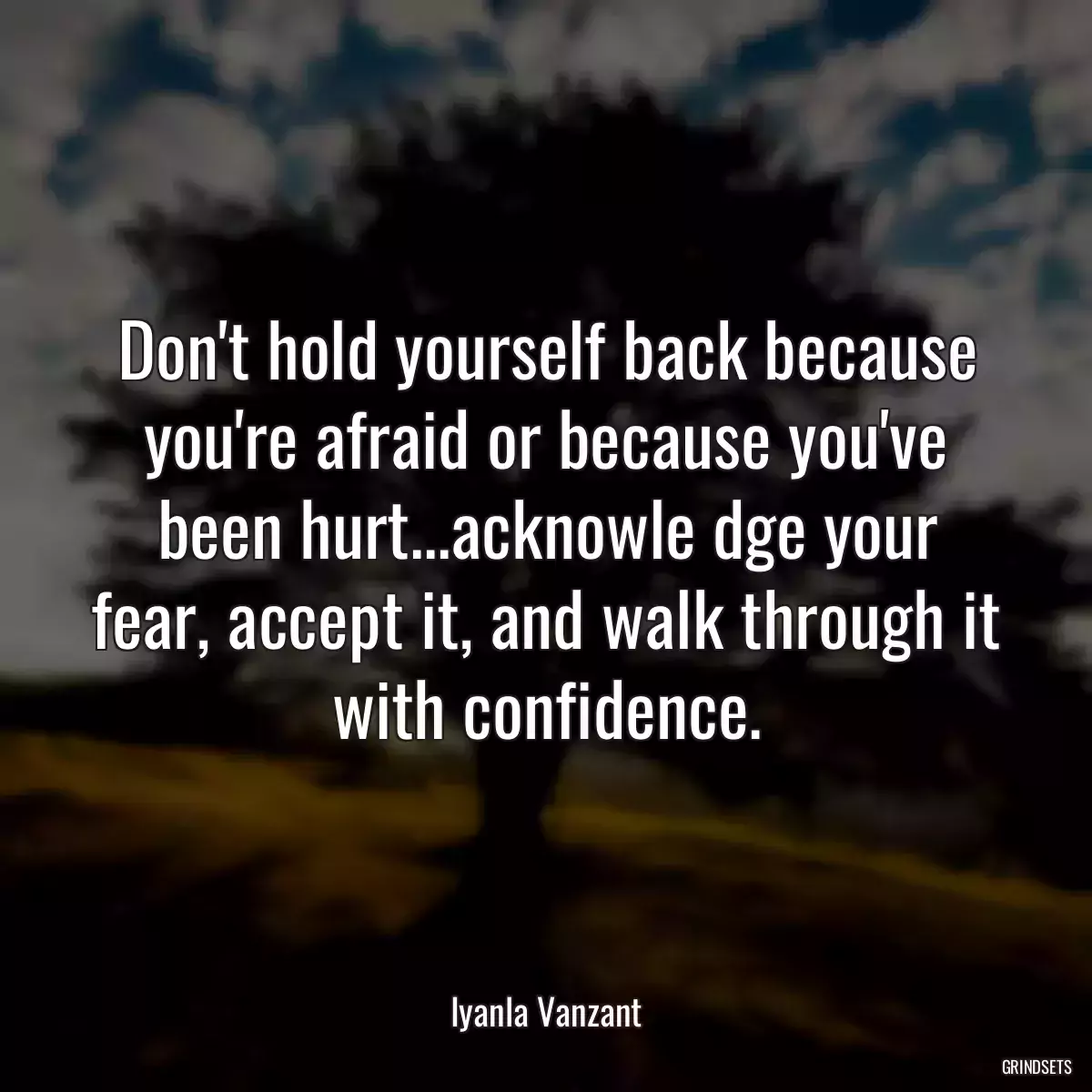 Don\'t hold yourself back because you\'re afraid or because you\'ve been hurt...acknowle dge your fear, accept it, and walk through it with confidence.