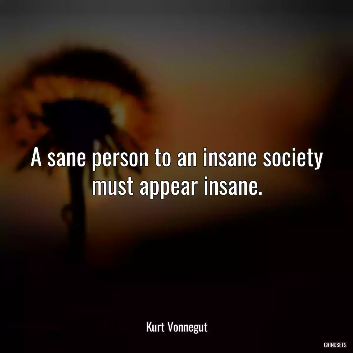 A sane person to an insane society must appear insane.