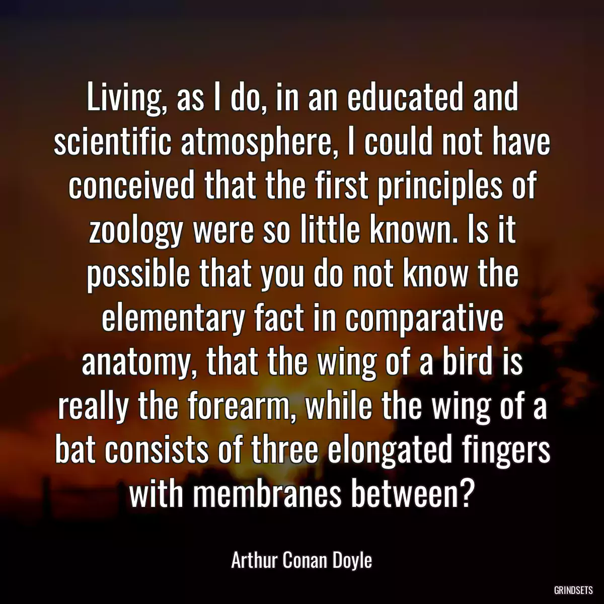 Living, as I do, in an educated and scientific atmosphere, I could not have conceived that the first principles of zoology were so little known. Is it possible that you do not know the elementary fact in comparative anatomy, that the wing of a bird is really the forearm, while the wing of a bat consists of three elongated fingers with membranes between?