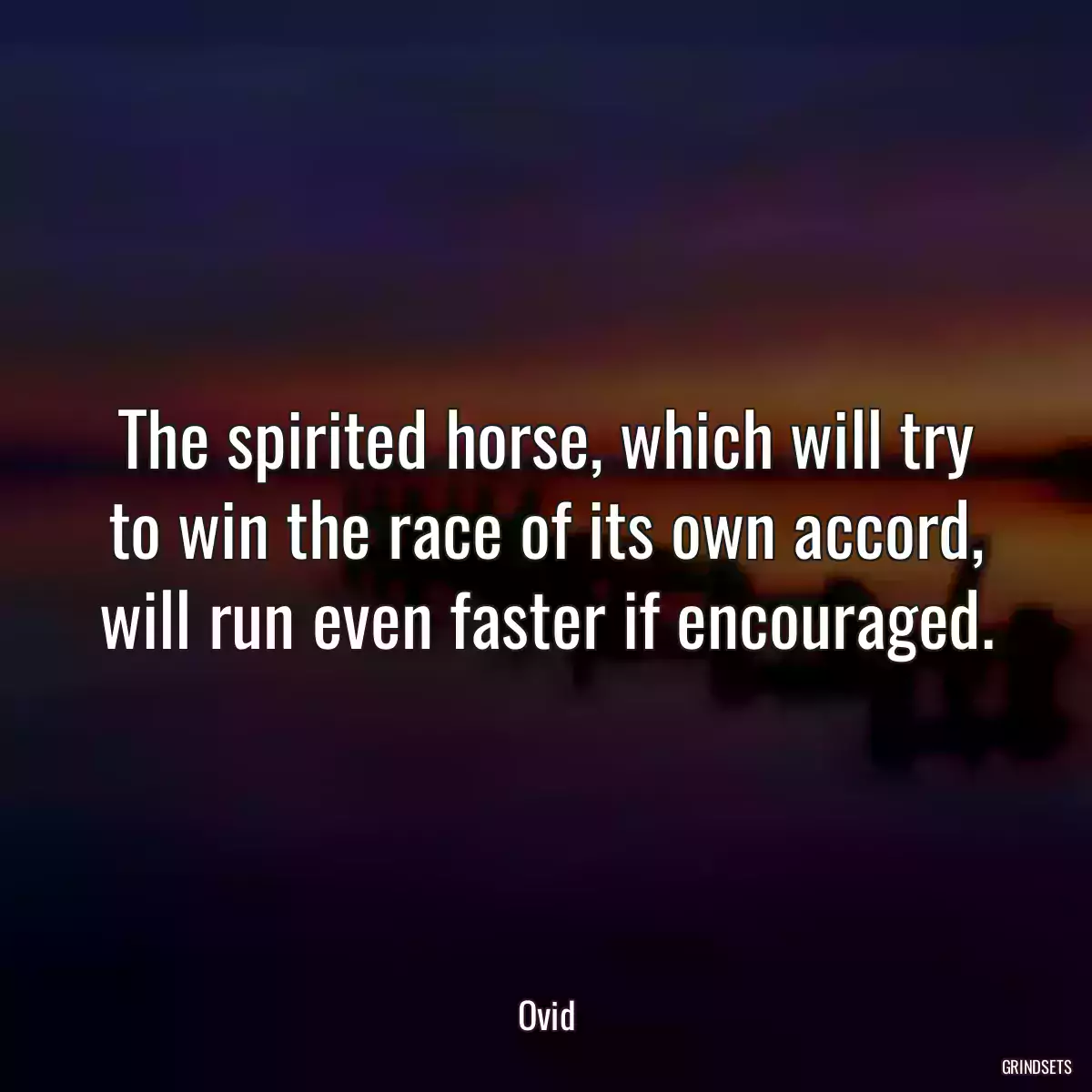 The spirited horse, which will try to win the race of its own accord, will run even faster if encouraged.