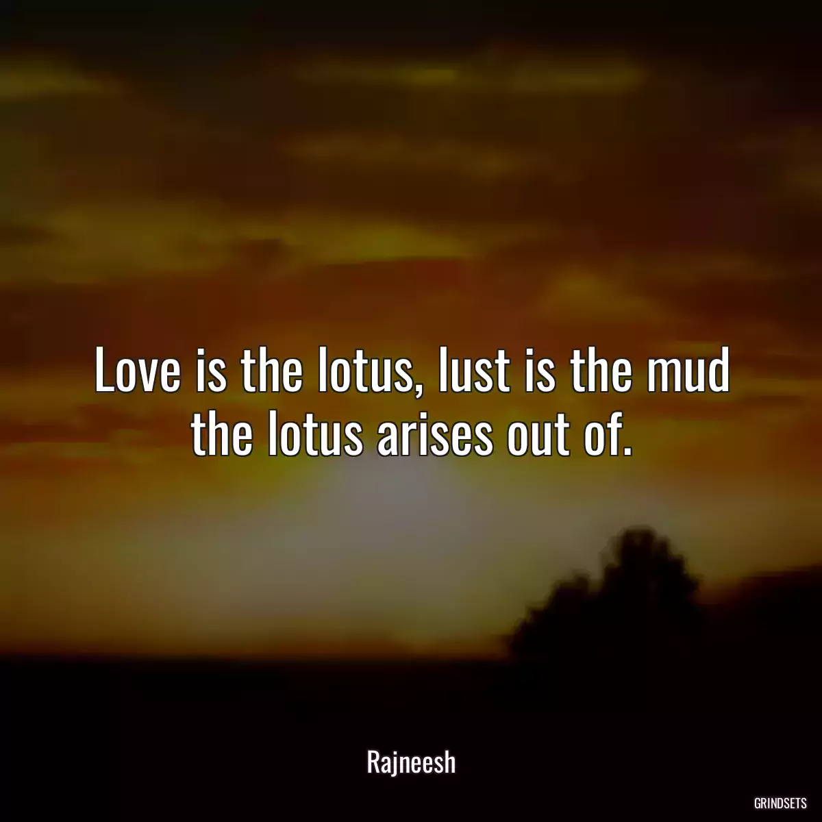 Love is the lotus, lust is the mud the lotus arises out of.