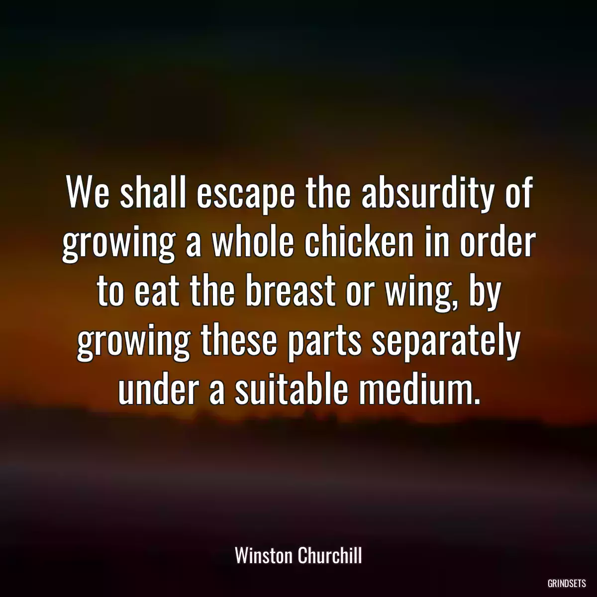 We shall escape the absurdity of growing a whole chicken in order to eat the breast or wing, by growing these parts separately under a suitable medium.