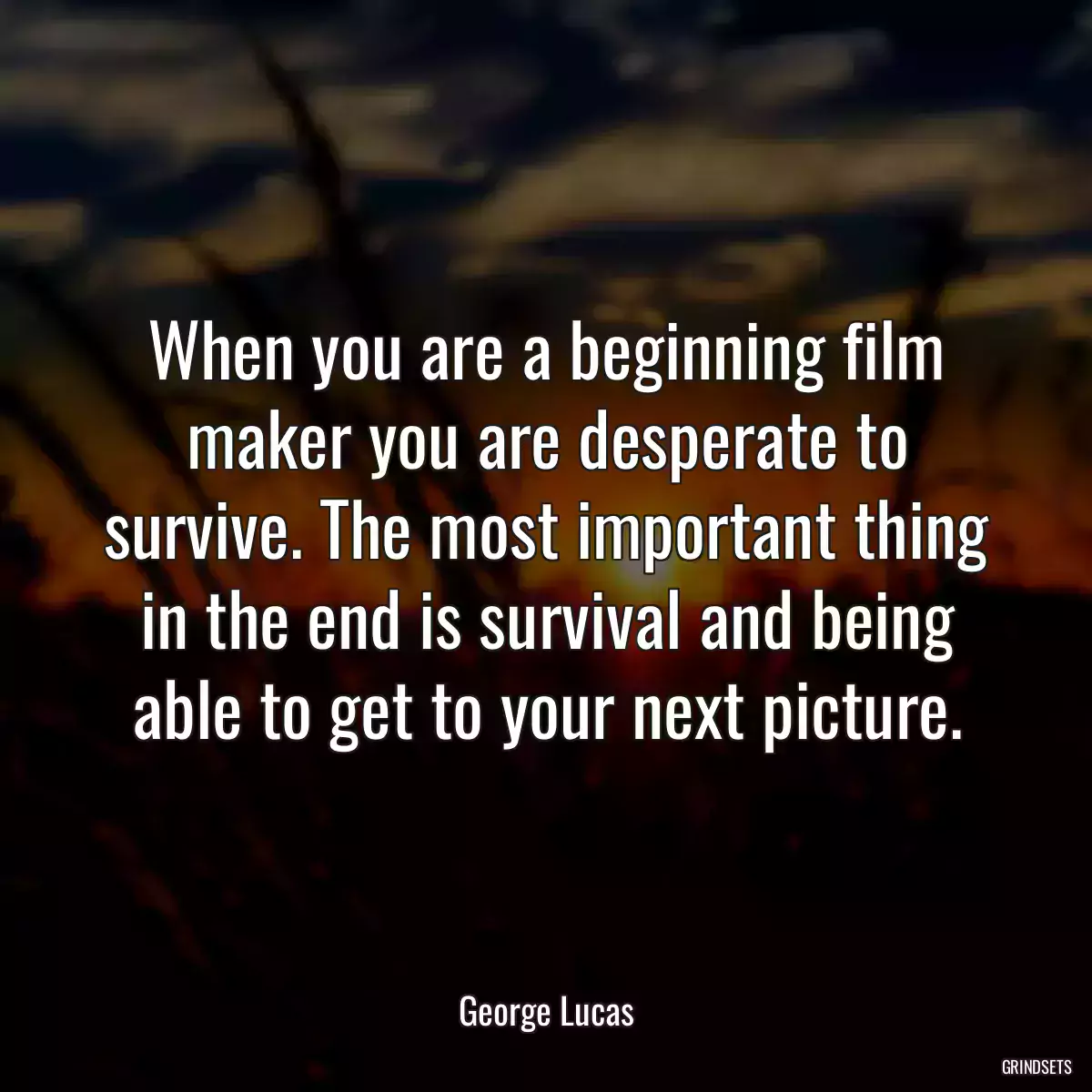 When you are a beginning film maker you are desperate to survive. The most important thing in the end is survival and being able to get to your next picture.