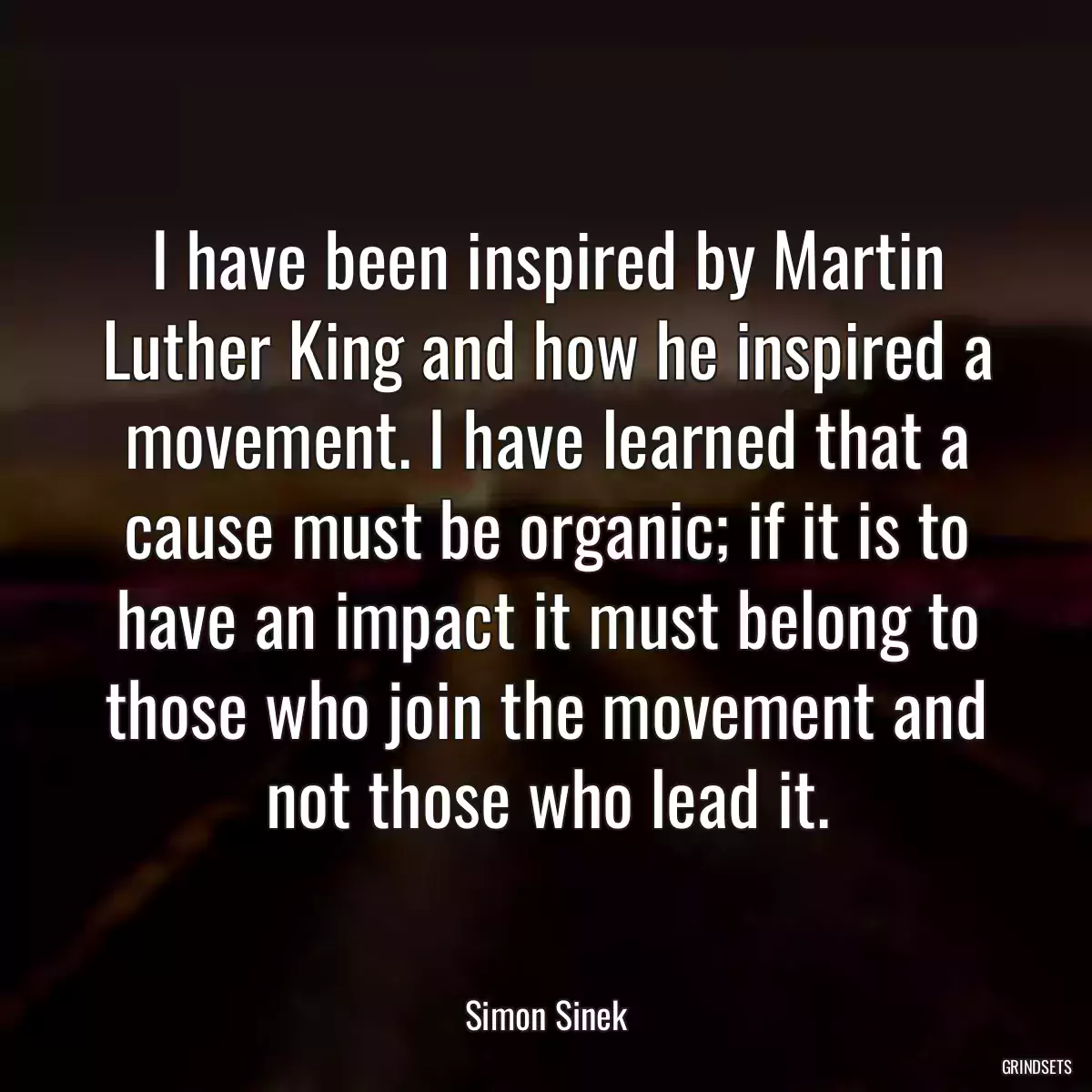 I have been inspired by Martin Luther King and how he inspired a movement. I have learned that a cause must be organic; if it is to have an impact it must belong to those who join the movement and not those who lead it.