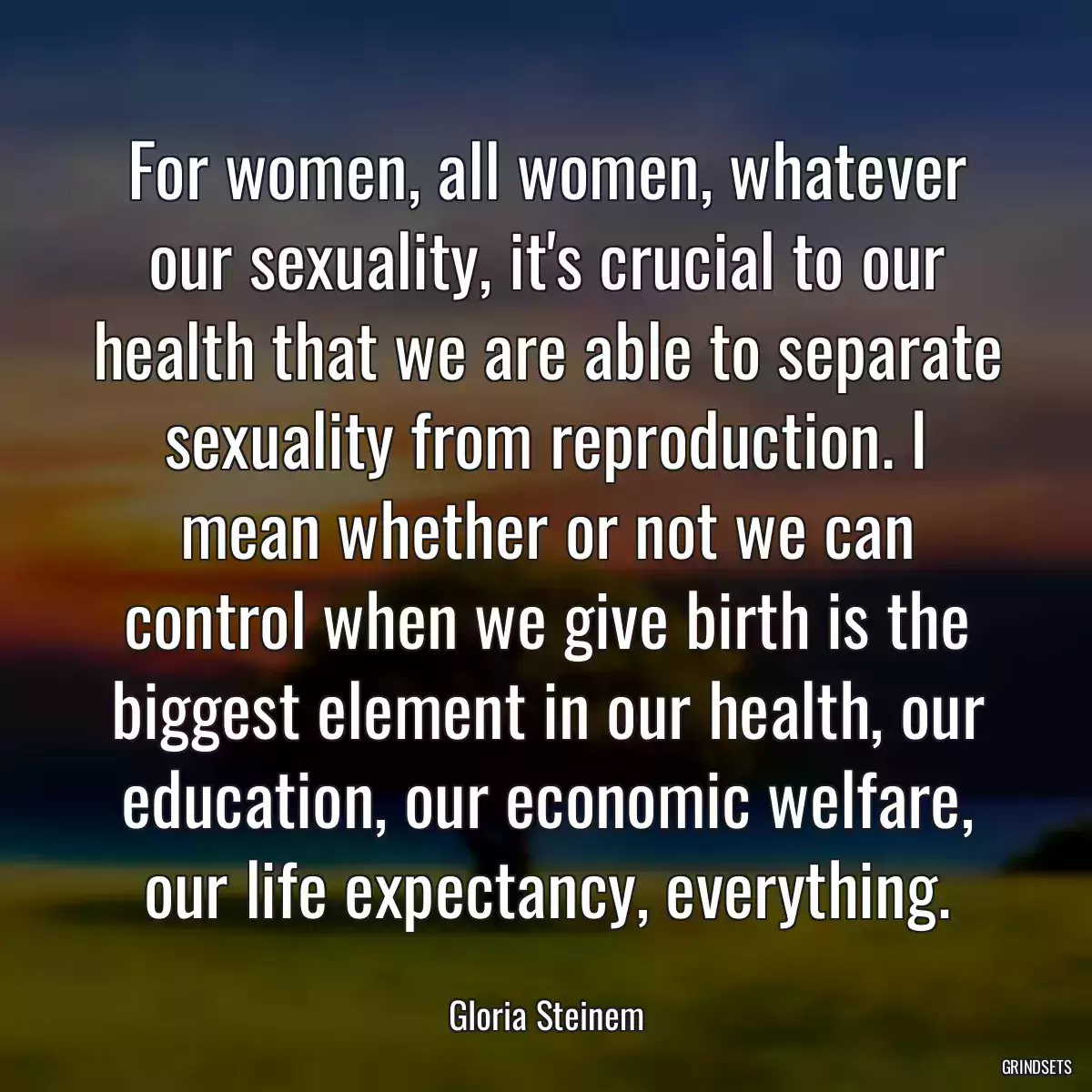 For women, all women, whatever our sexuality, it\'s crucial to our health that we are able to separate sexuality from reproduction. I mean whether or not we can control when we give birth is the biggest element in our health, our education, our economic welfare, our life expectancy, everything.