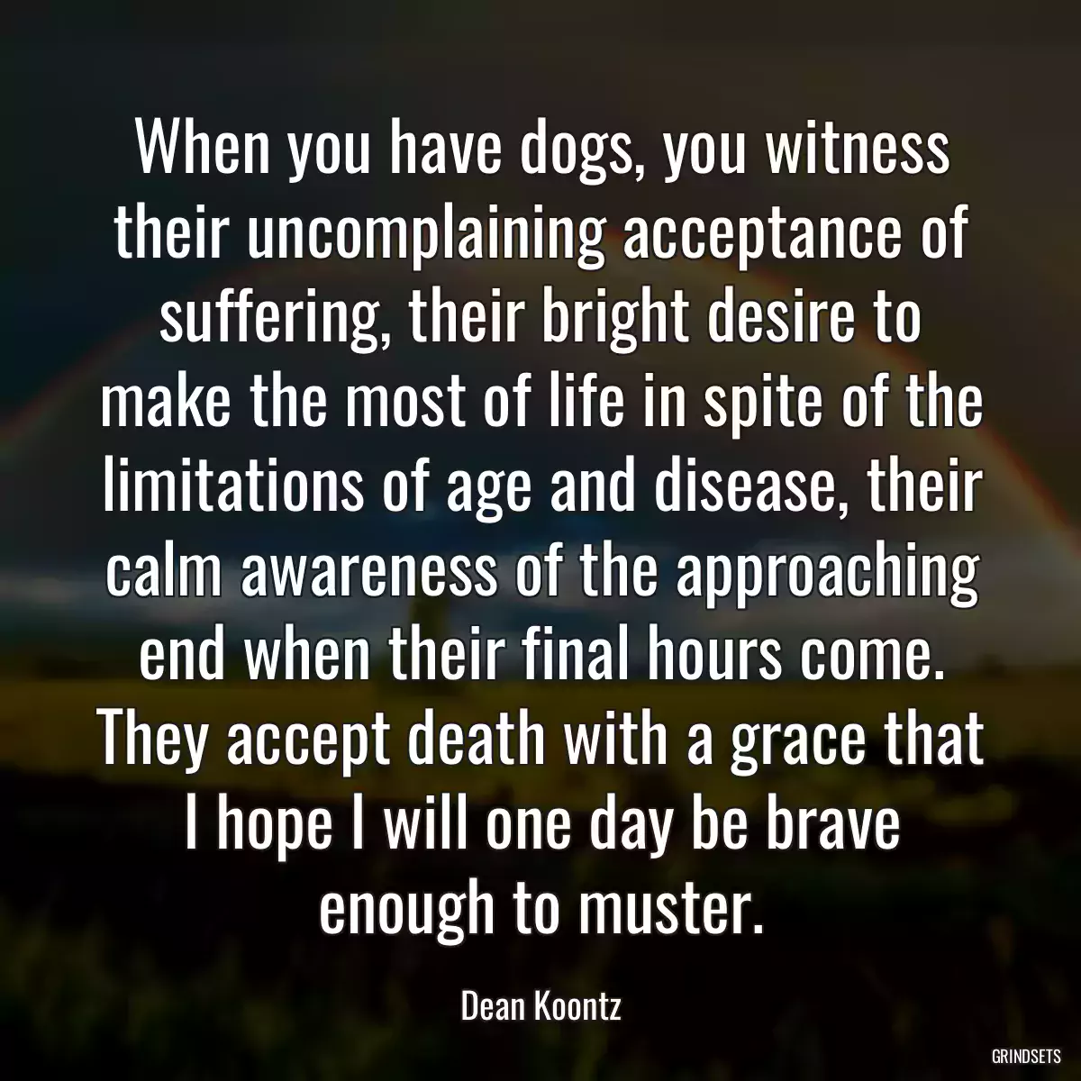 When you have dogs, you witness their uncomplaining acceptance of suffering, their bright desire to make the most of life in spite of the limitations of age and disease, their calm awareness of the approaching end when their final hours come. They accept death with a grace that I hope I will one day be brave enough to muster.