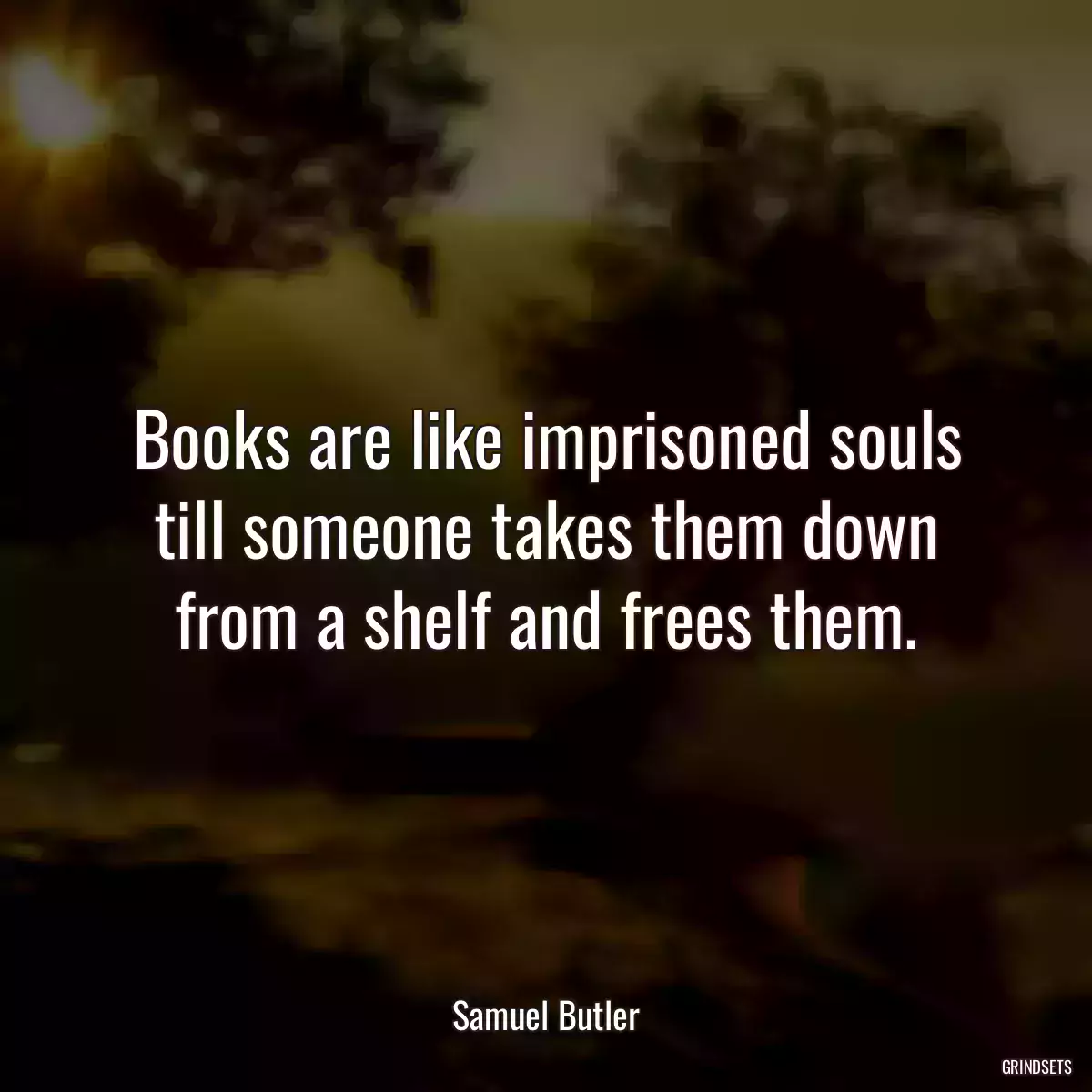 Books are like imprisoned souls till someone takes them down from a shelf and frees them.