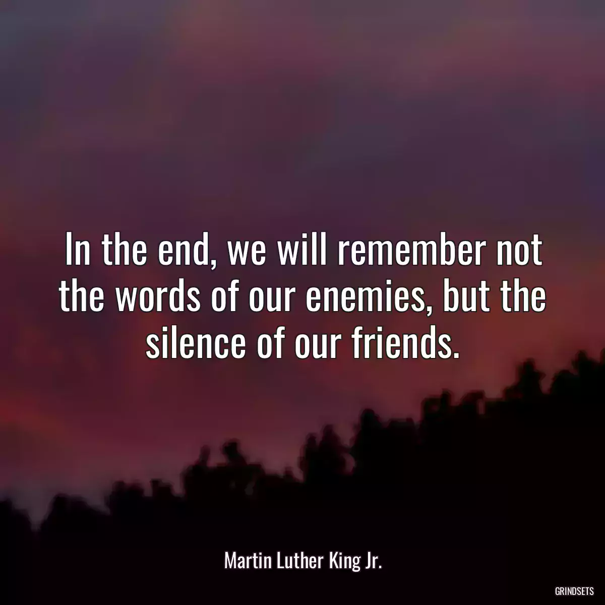 In the end, we will remember not the words of our enemies, but the silence of our friends.