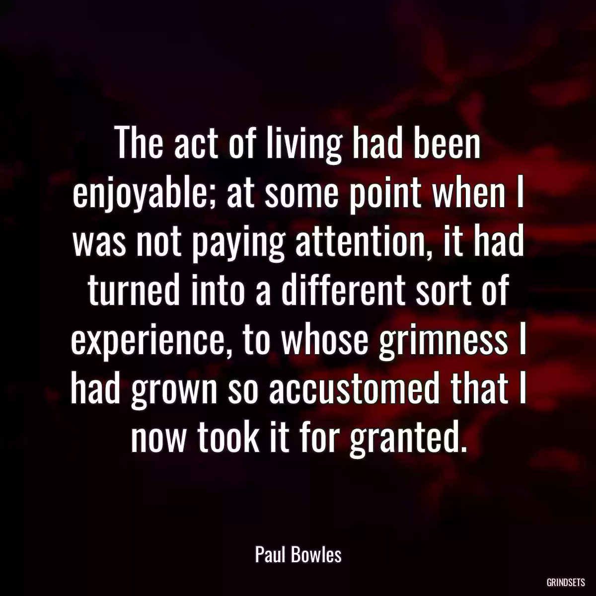 The act of living had been enjoyable; at some point when I was not paying attention, it had turned into a different sort of experience, to whose grimness I had grown so accustomed that I now took it for granted.