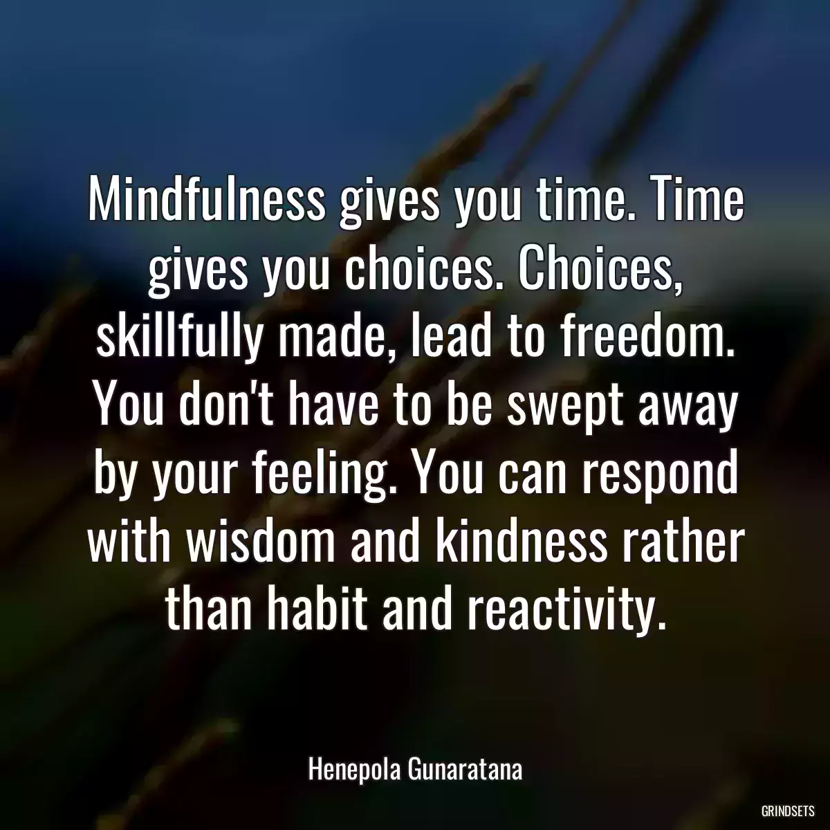 Mindfulness gives you time. Time gives you choices. Choices, skillfully made, lead to freedom. You don\'t have to be swept away by your feeling. You can respond with wisdom and kindness rather than habit and reactivity.