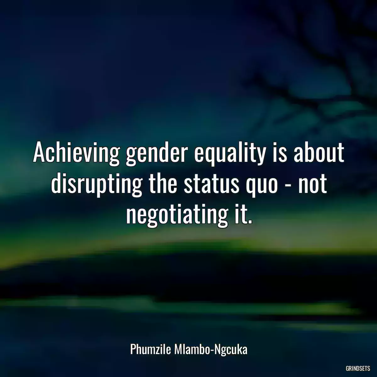 Achieving gender equality is about disrupting the status quo - not negotiating it.