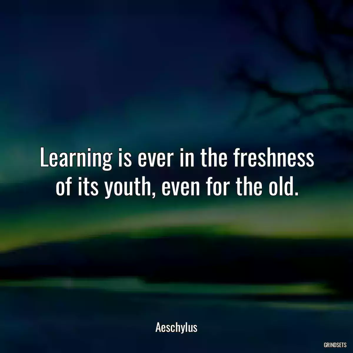 Learning is ever in the freshness of its youth, even for the old.