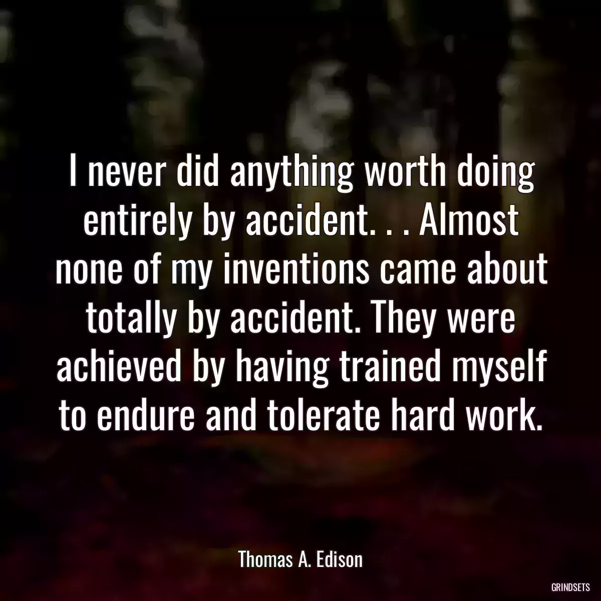 I never did anything worth doing entirely by accident. . . Almost none of my inventions came about totally by accident. They were achieved by having trained myself to endure and tolerate hard work.