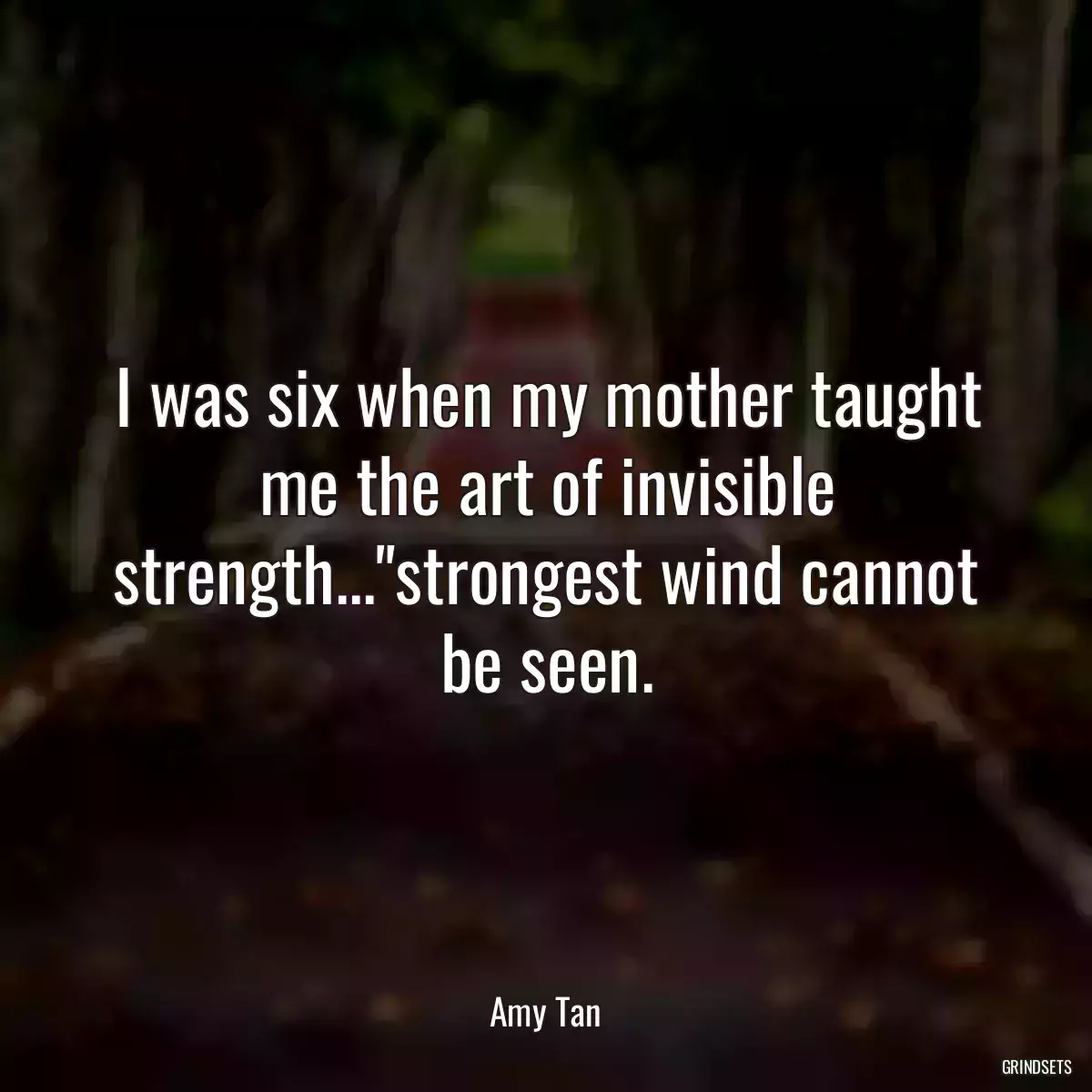 I was six when my mother taught me the art of invisible strength...\