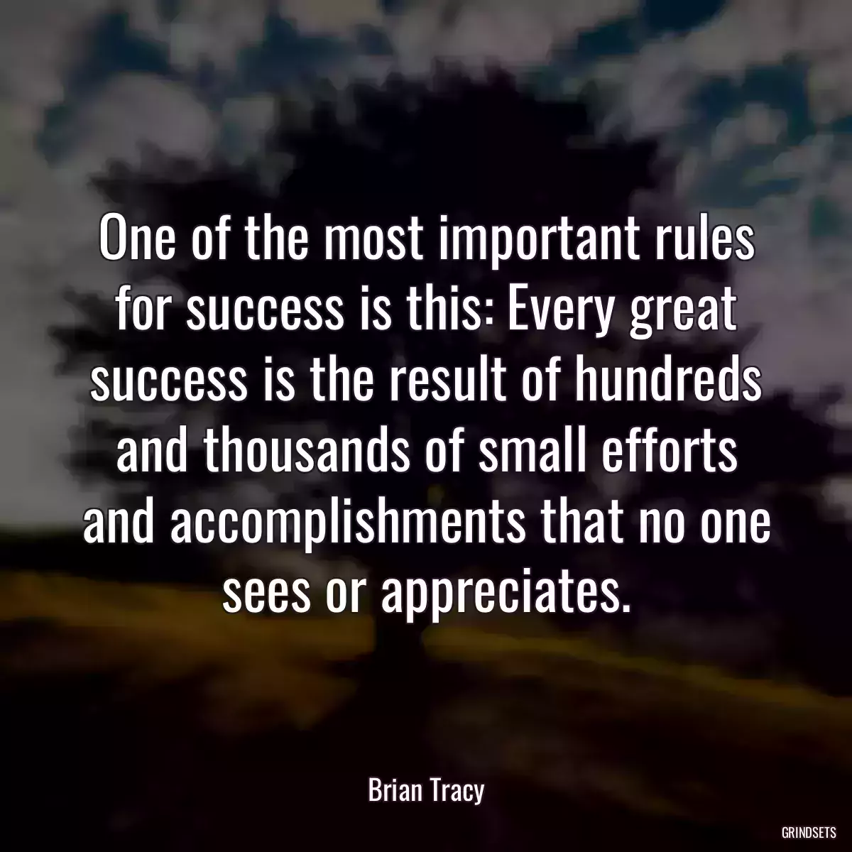 One of the most important rules for success is this: Every great success is the result of hundreds and thousands of small efforts and accomplishments that no one sees or appreciates.