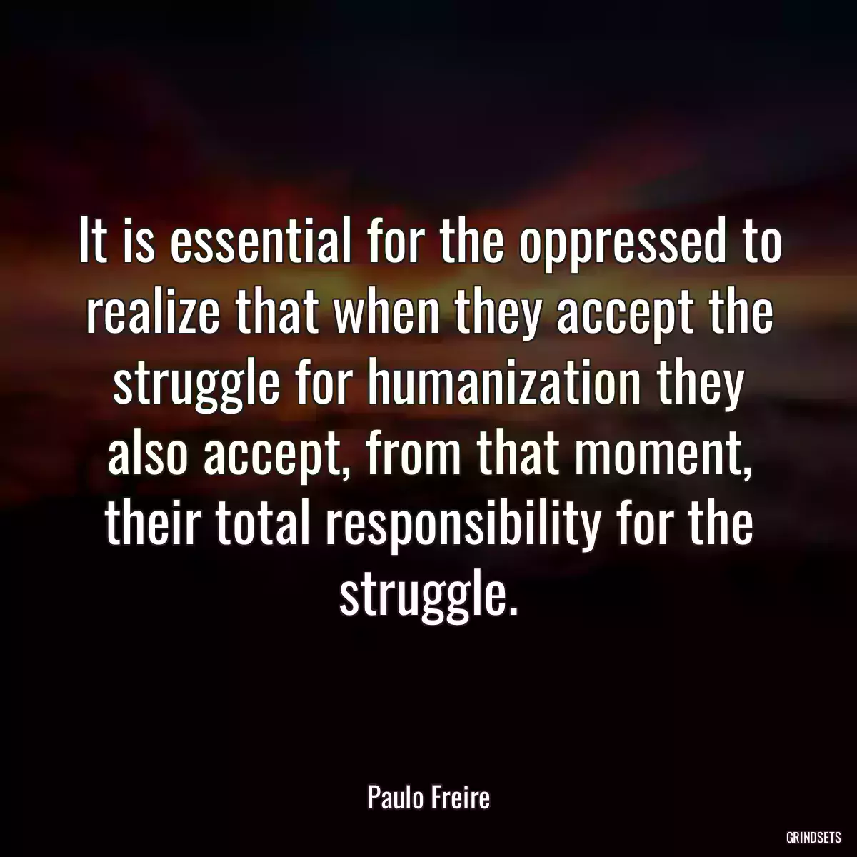 It is essential for the oppressed to realize that when they accept the struggle for humanization they also accept, from that moment, their total responsibility for the struggle.