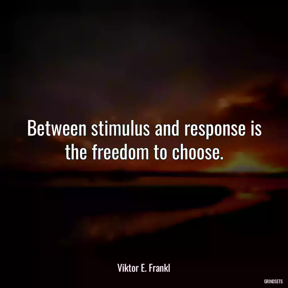 Between stimulus and response is the freedom to choose.