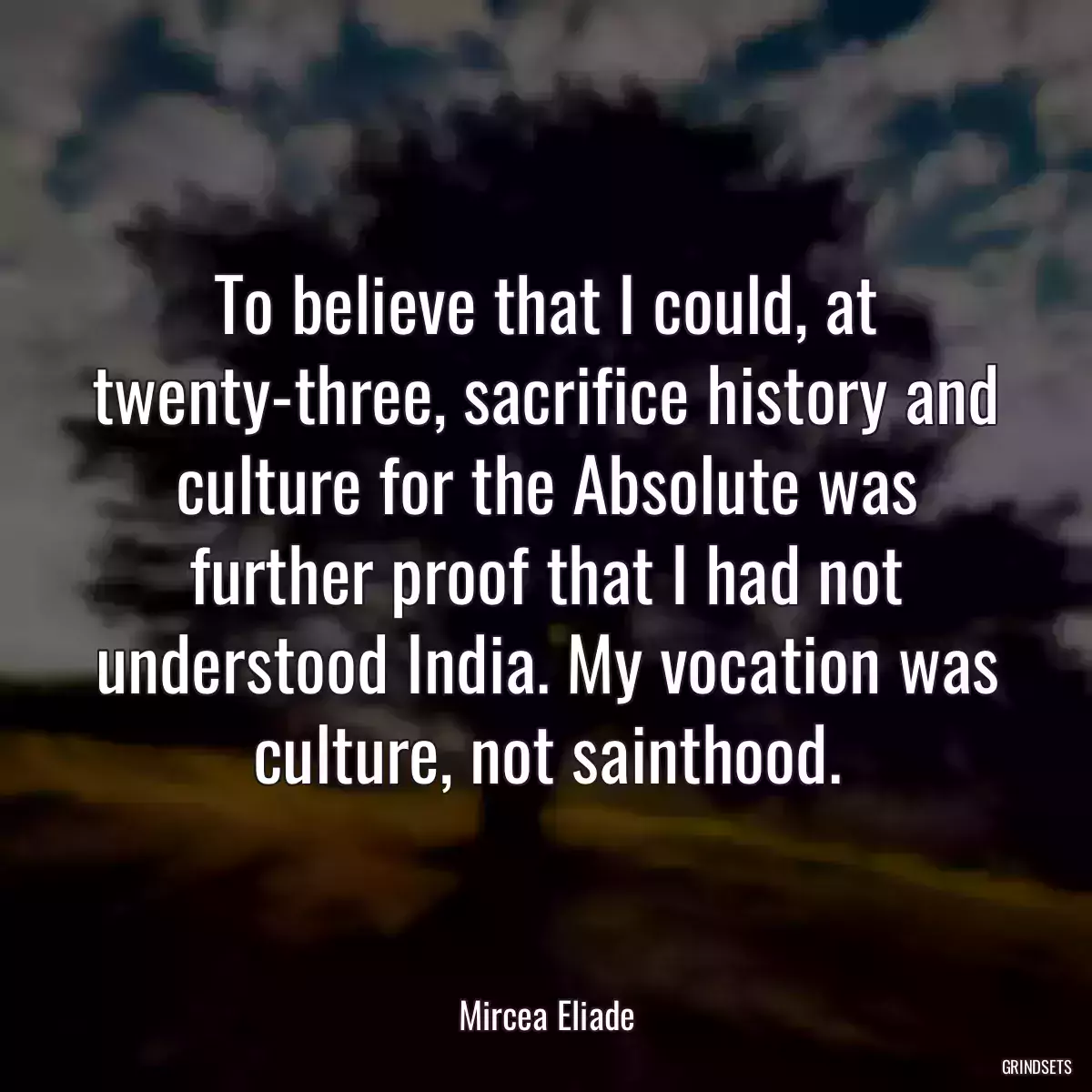 To believe that I could, at twenty-three, sacrifice history and culture for the Absolute was further proof that I had not understood India. My vocation was culture, not sainthood.