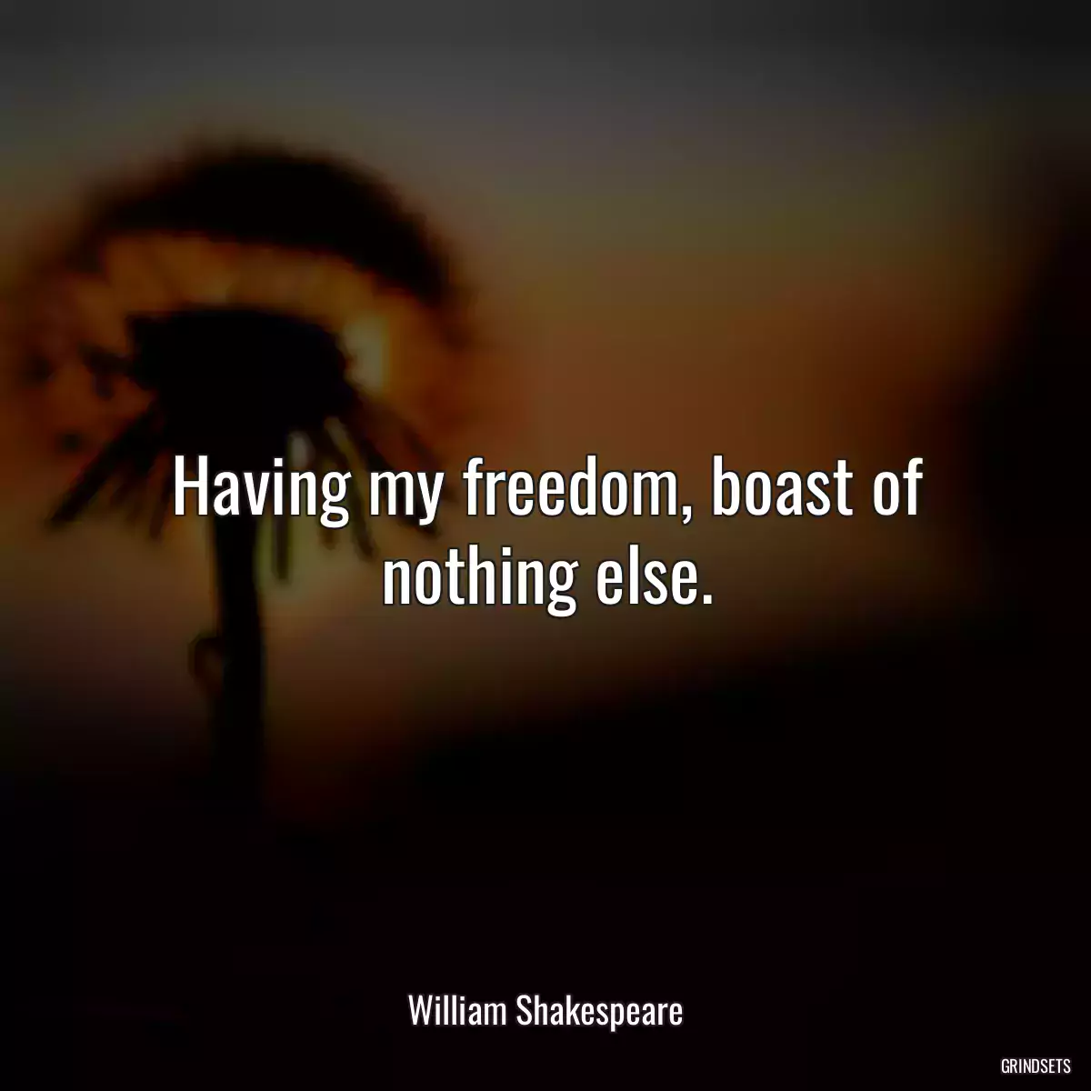 Having my freedom, boast of nothing else.