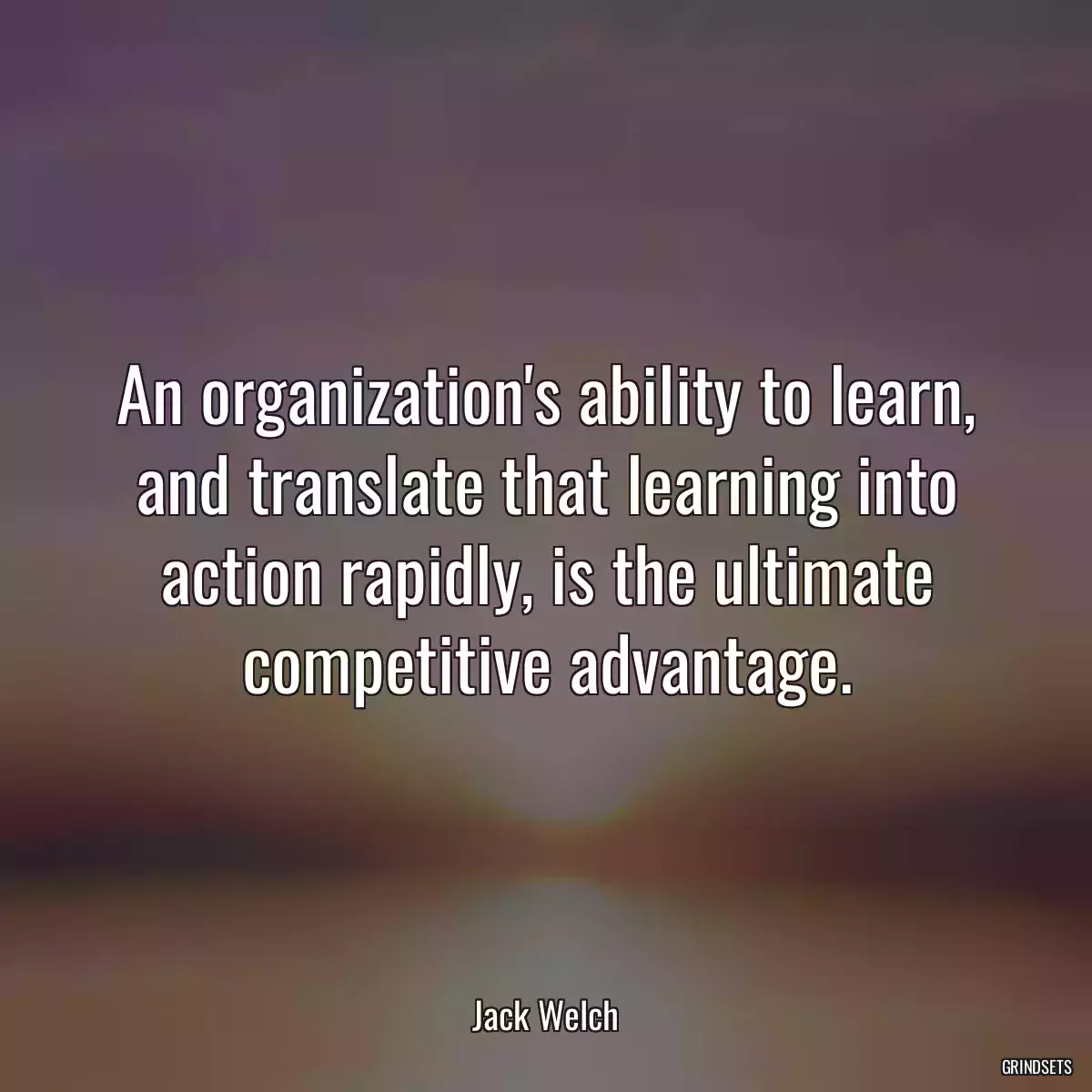 An organization\'s ability to learn, and translate that learning into action rapidly, is the ultimate competitive advantage.