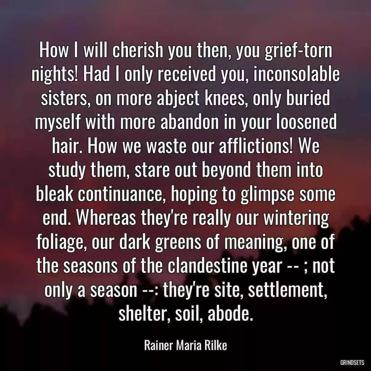 How I will cherish you then, you grief-torn nights! Had I only received you, inconsolable sisters, on more abject knees, only buried myself with more abandon in your loosened hair. How we waste our afflictions! We study them, stare out beyond them into bleak continuance, hoping to glimpse some end. Whereas they\'re really our wintering foliage, our dark greens of meaning, one of the seasons of the clandestine year -- ; not only a season --: they\'re site, settlement, shelter, soil, abode.