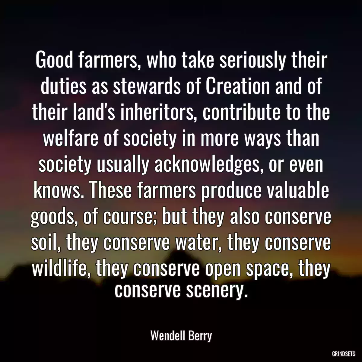 Good farmers, who take seriously their duties as stewards of Creation and of their land\'s inheritors, contribute to the welfare of society in more ways than society usually acknowledges, or even knows. These farmers produce valuable goods, of course; but they also conserve soil, they conserve water, they conserve wildlife, they conserve open space, they conserve scenery.