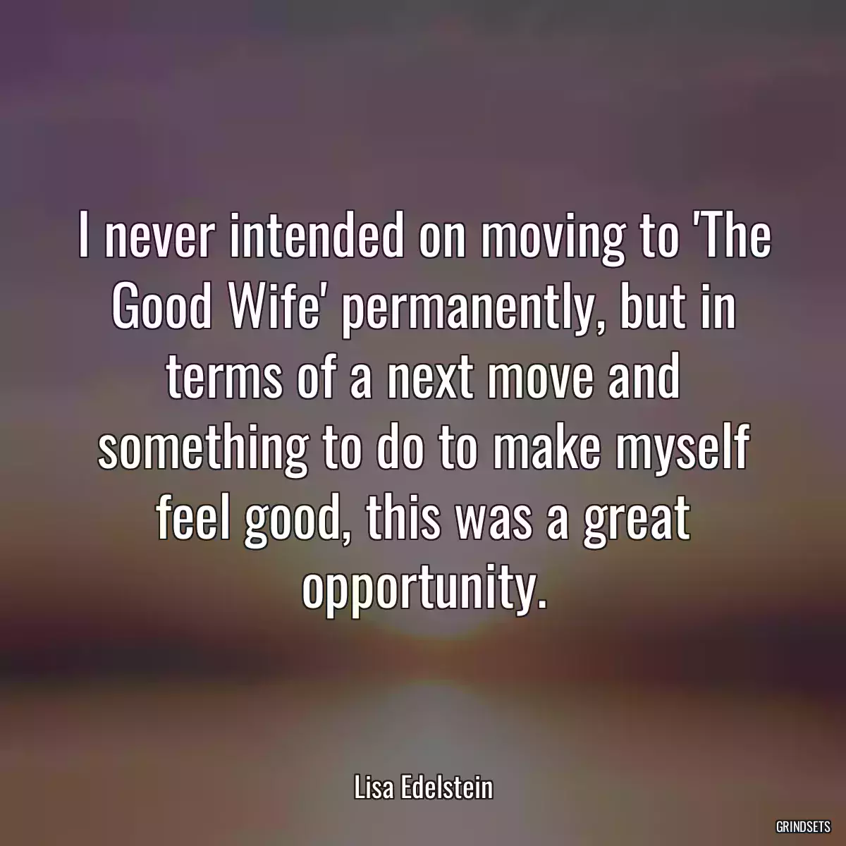 I never intended on moving to \'The Good Wife\' permanently, but in terms of a next move and something to do to make myself feel good, this was a great opportunity.