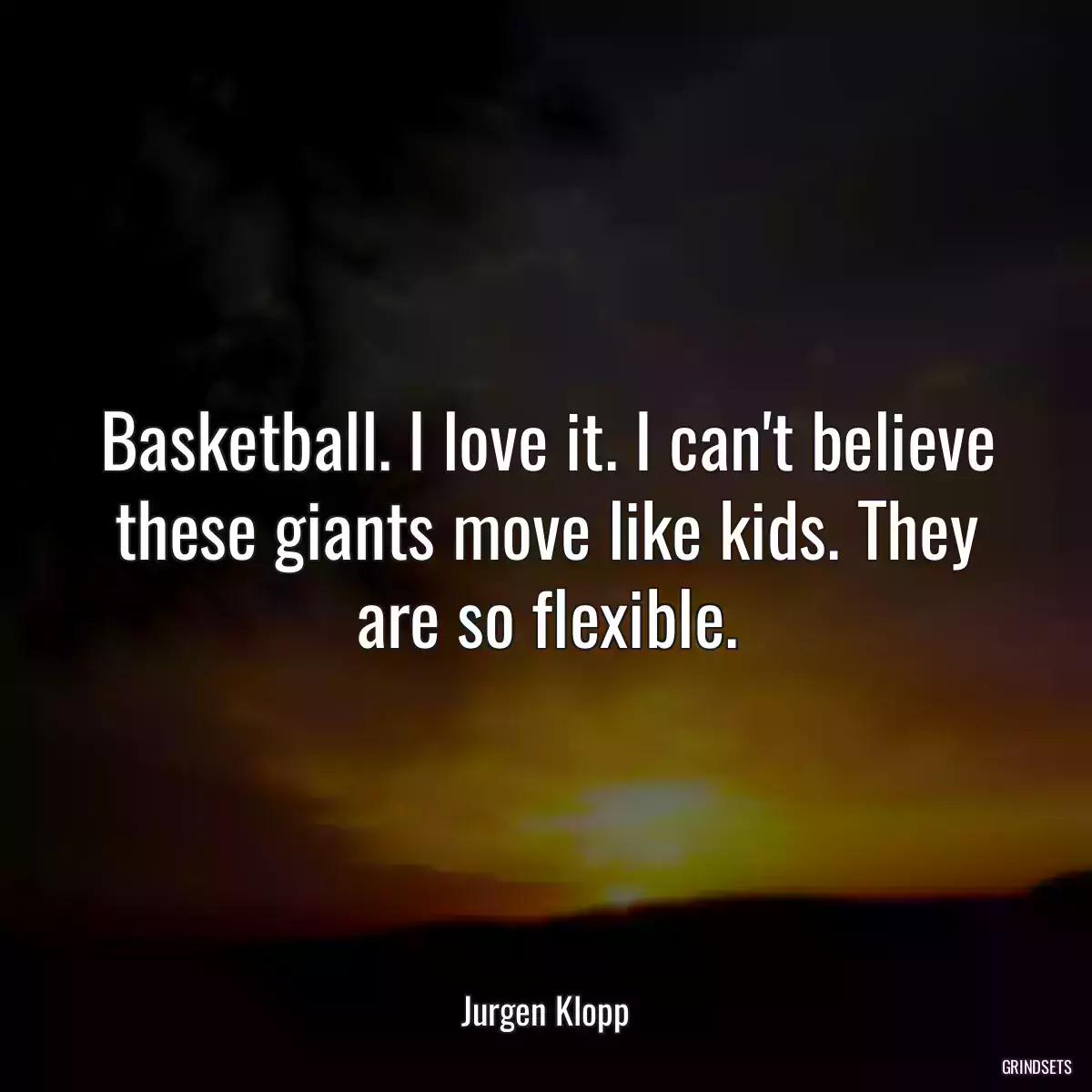 Basketball. I love it. I can\'t believe these giants move like kids. They are so flexible.