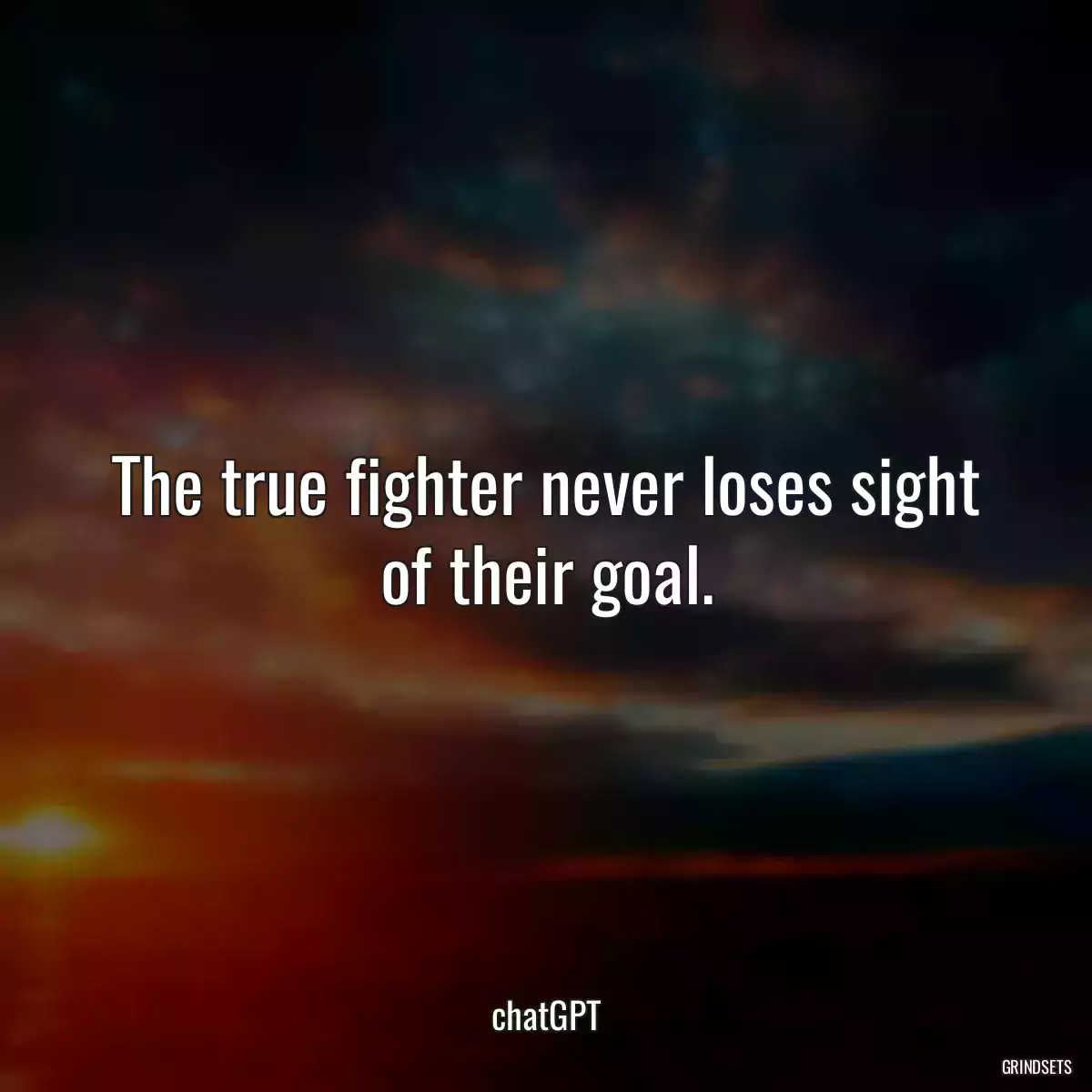 The true fighter never loses sight of their goal.