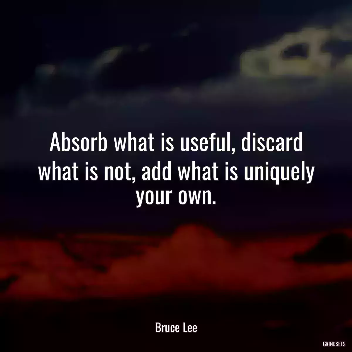 Absorb what is useful, discard what is not, add what is uniquely your own.