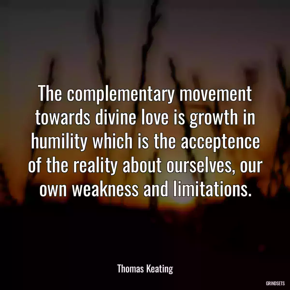 The complementary movement towards divine love is growth in humility which is the acceptence of the reality about ourselves, our own weakness and limitations.