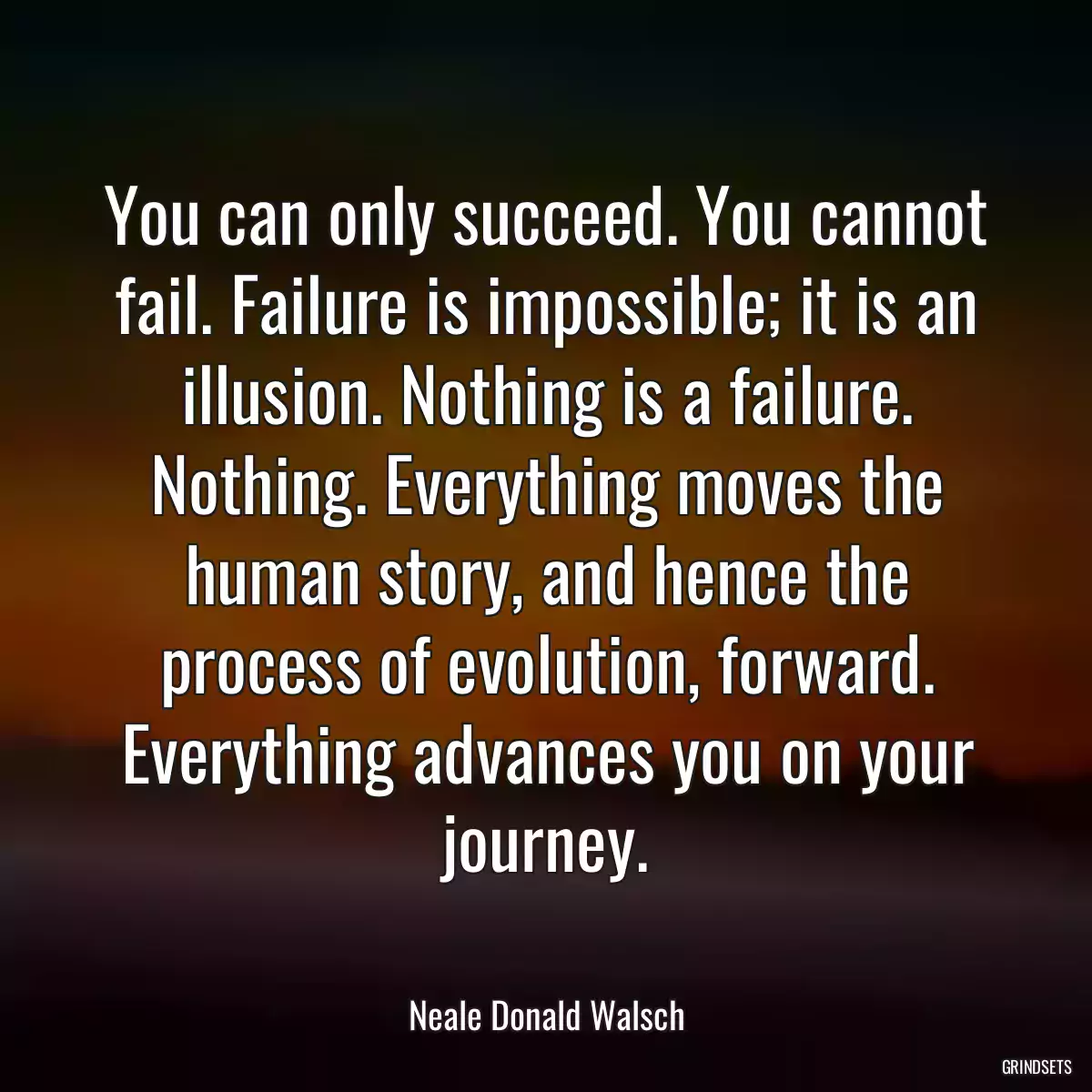 You can only succeed. You cannot fail. Failure is impossible; it is an illusion. Nothing is a failure. Nothing. Everything moves the human story, and hence the process of evolution, forward. Everything advances you on your journey.