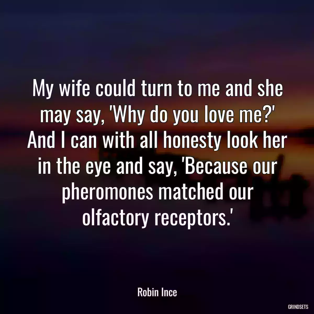 My wife could turn to me and she may say, \'Why do you love me?\' And I can with all honesty look her in the eye and say, \'Because our pheromones matched our olfactory receptors.\'