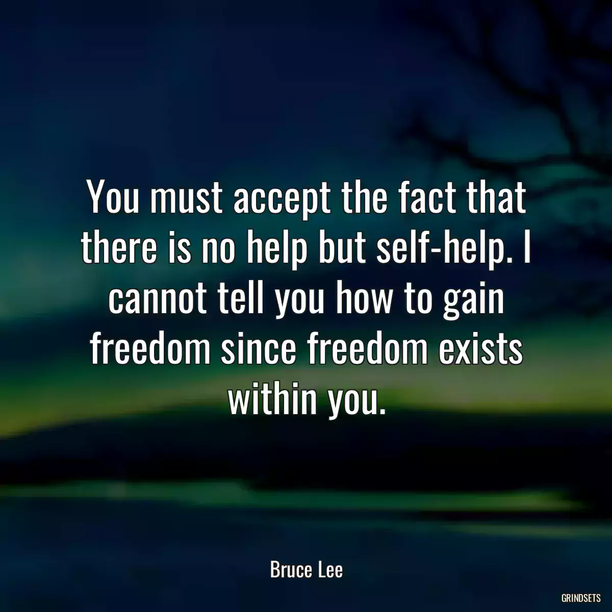 You must accept the fact that there is no help but self-help. I cannot tell you how to gain freedom since freedom exists within you.