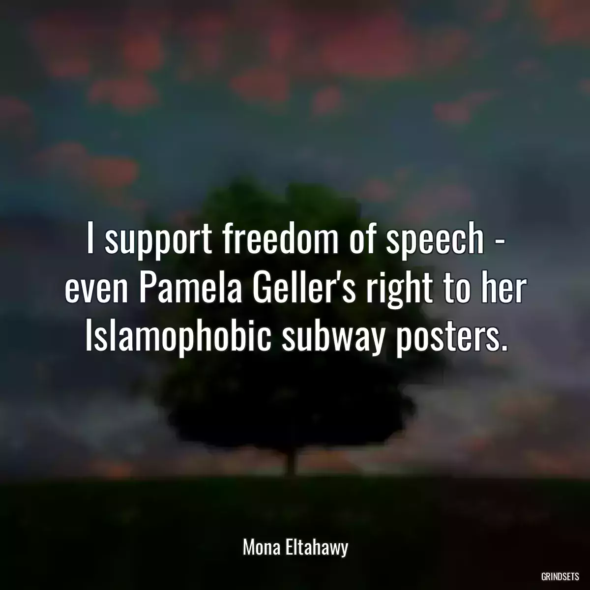 I support freedom of speech - even Pamela Geller\'s right to her Islamophobic subway posters.